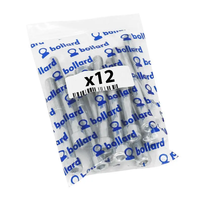 Set di 12 viti con esagono incassato P2R