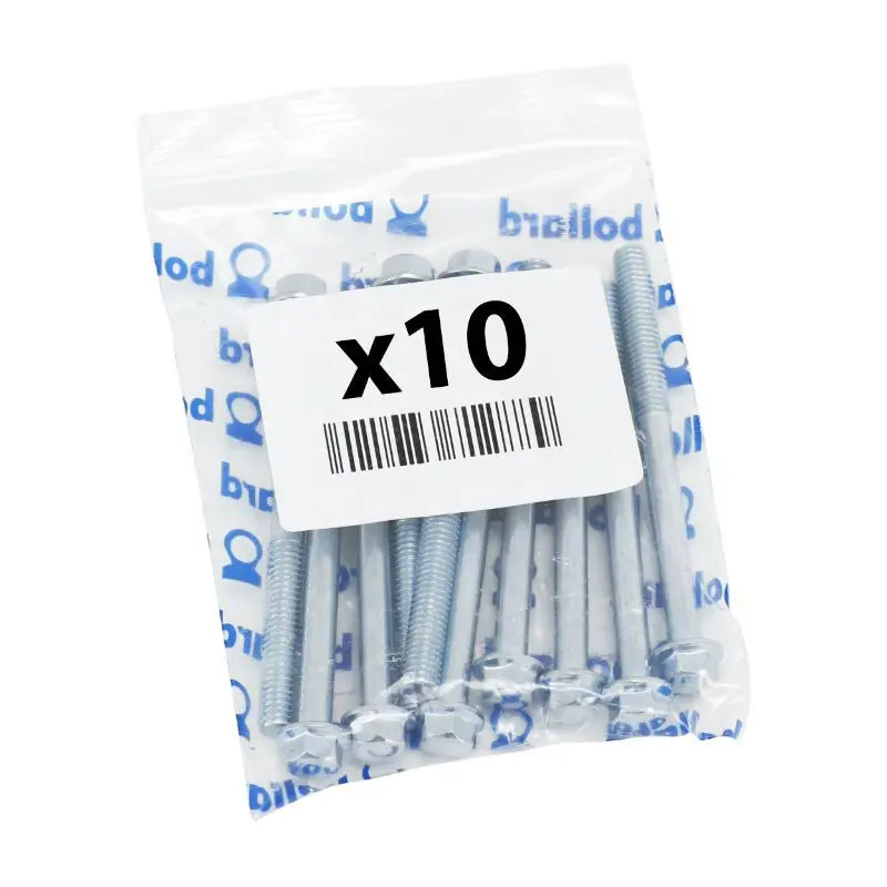 Beutel mit 10 Schrauben mit 6 ohne Schulter P2R SW8