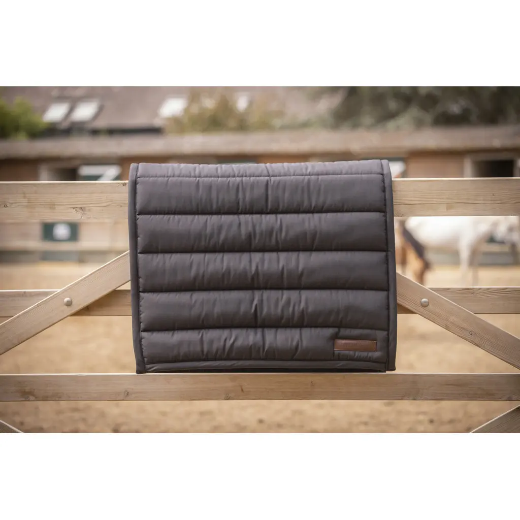 Saddle pad for horses Paddock Big Pad
