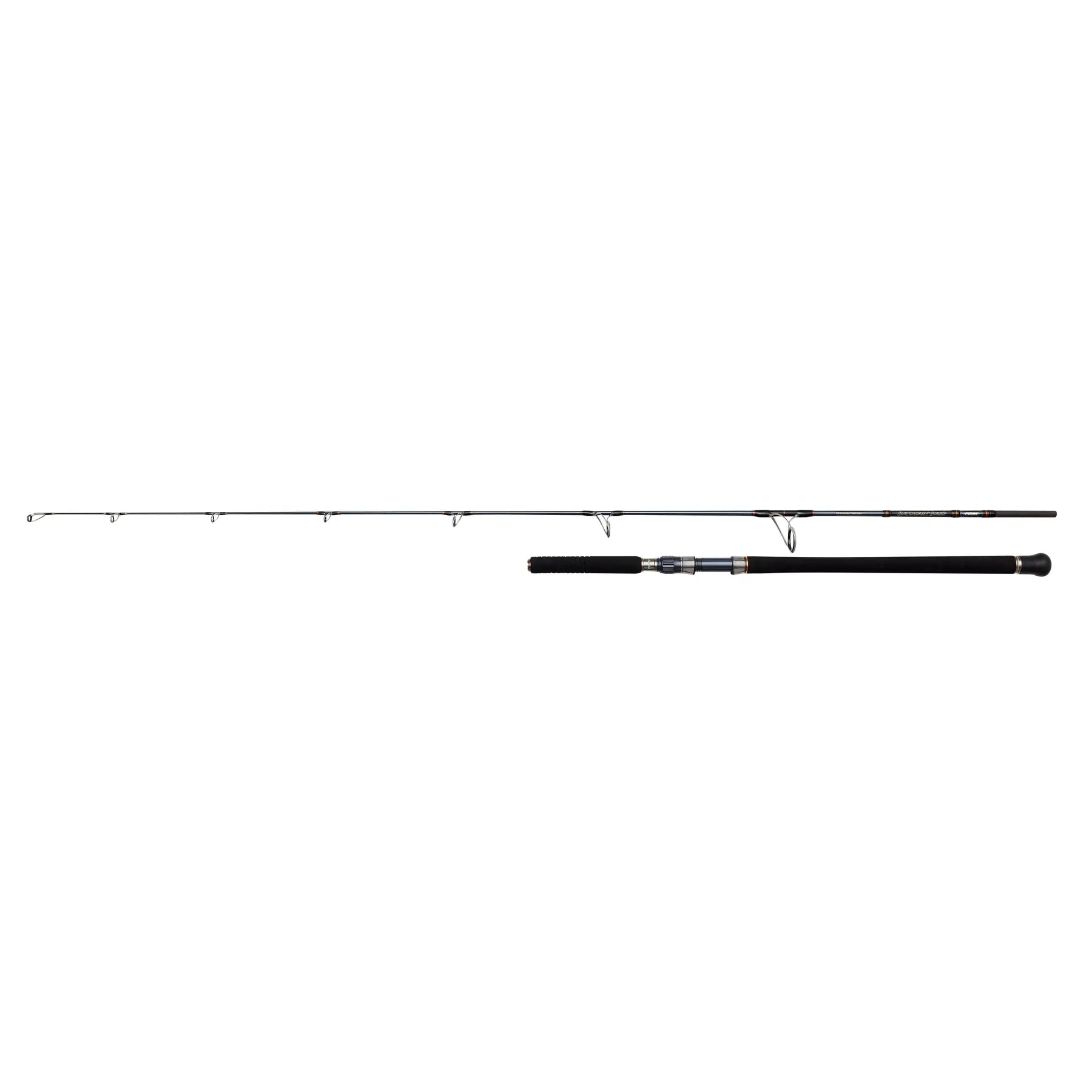 Spinnrute Penn Battalion 15-80g