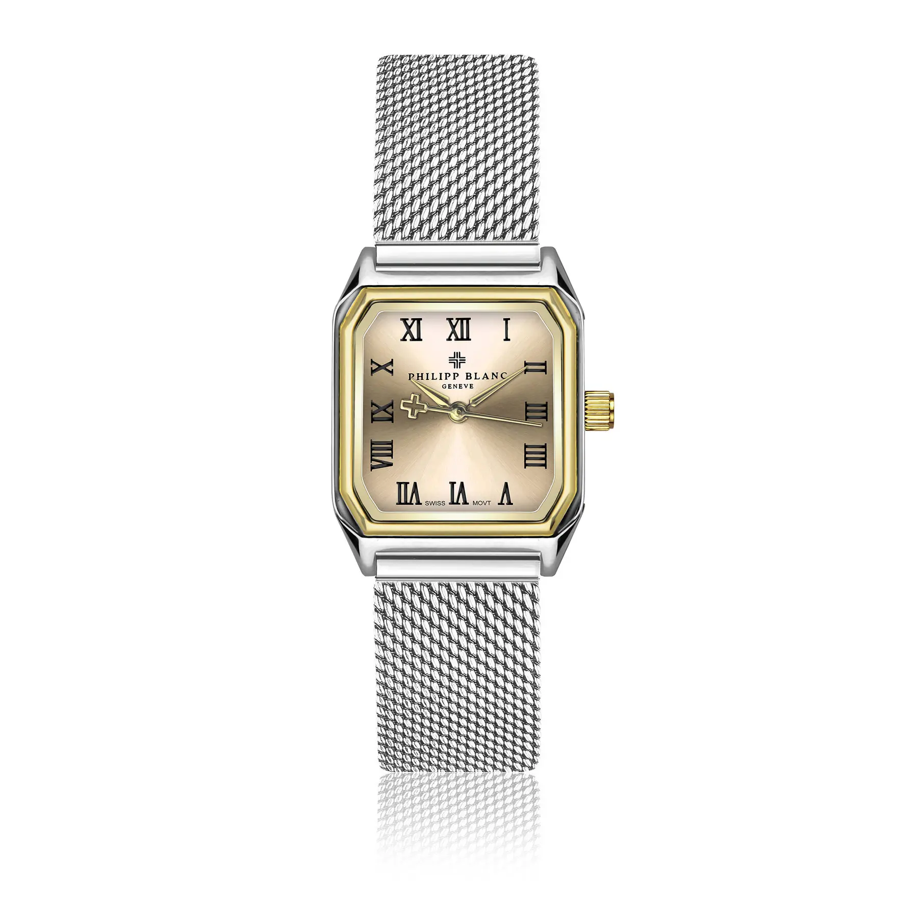 Philipp Blanc Women's Gris Watch Delémont Mesh