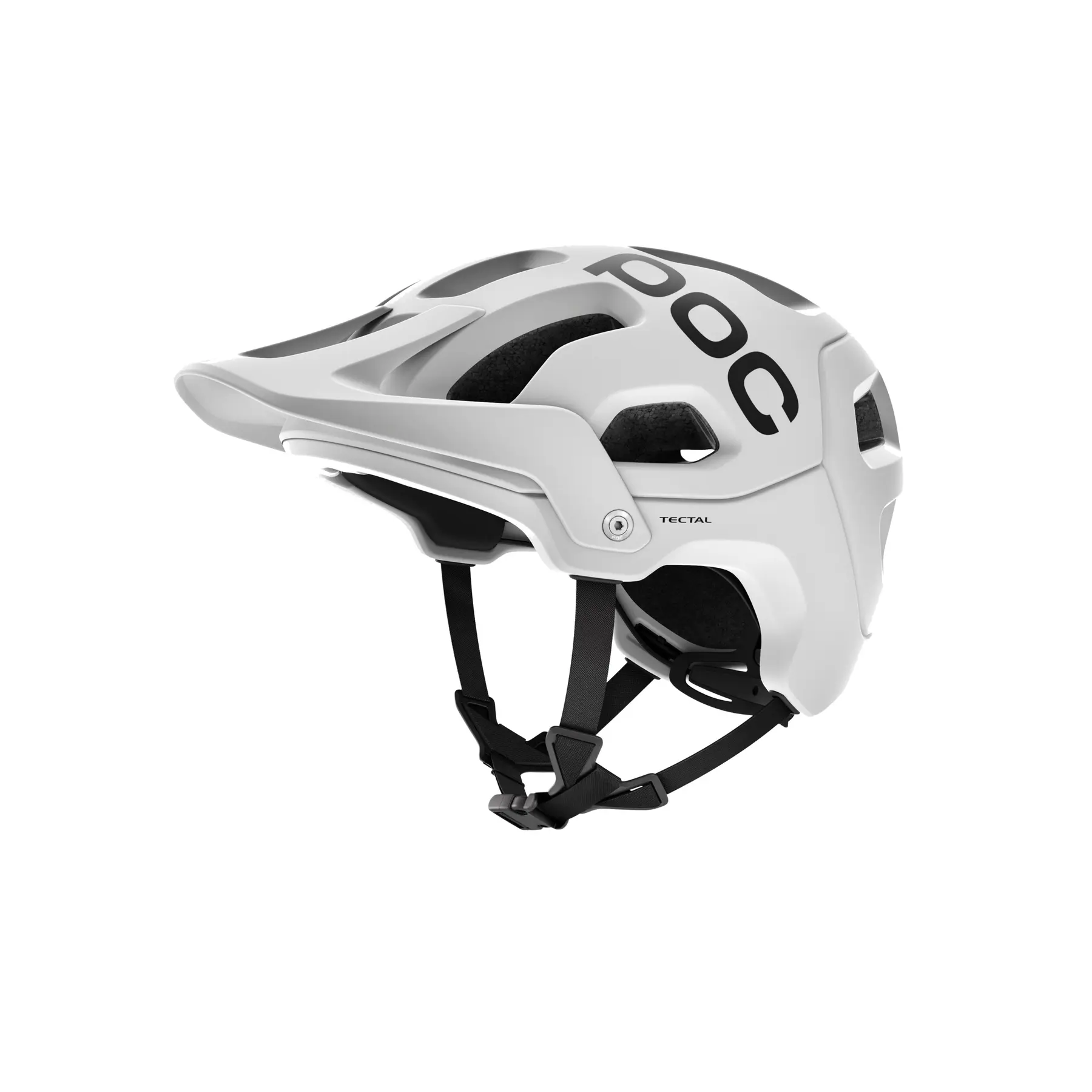 Visiera casco POC Tectal