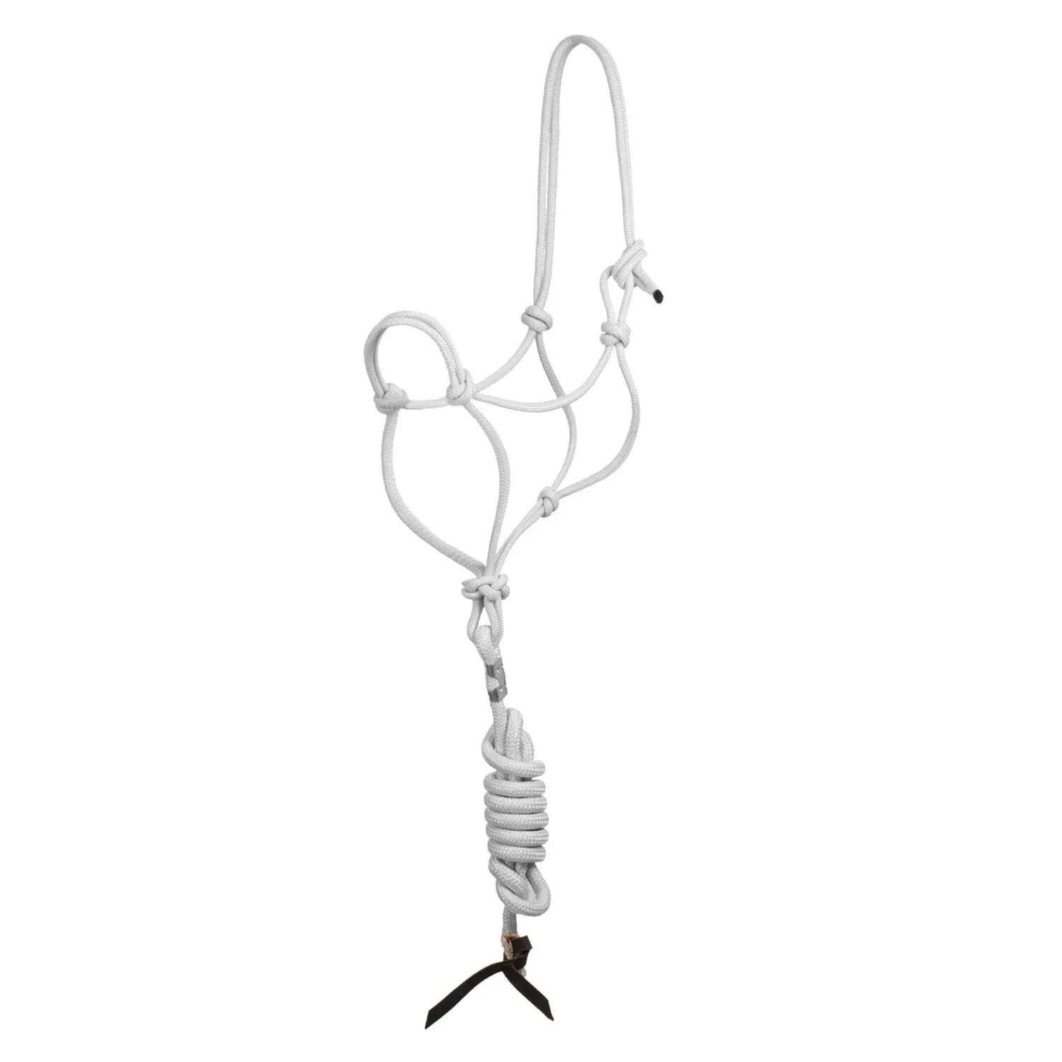 Halter and lead rope set for horse Pool's