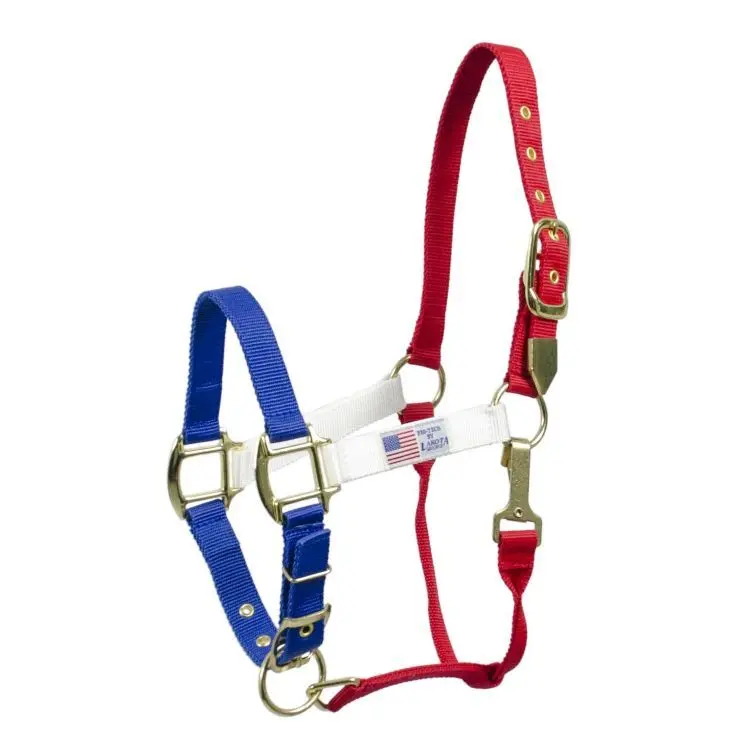 Nylon headcollar for horse Pool's