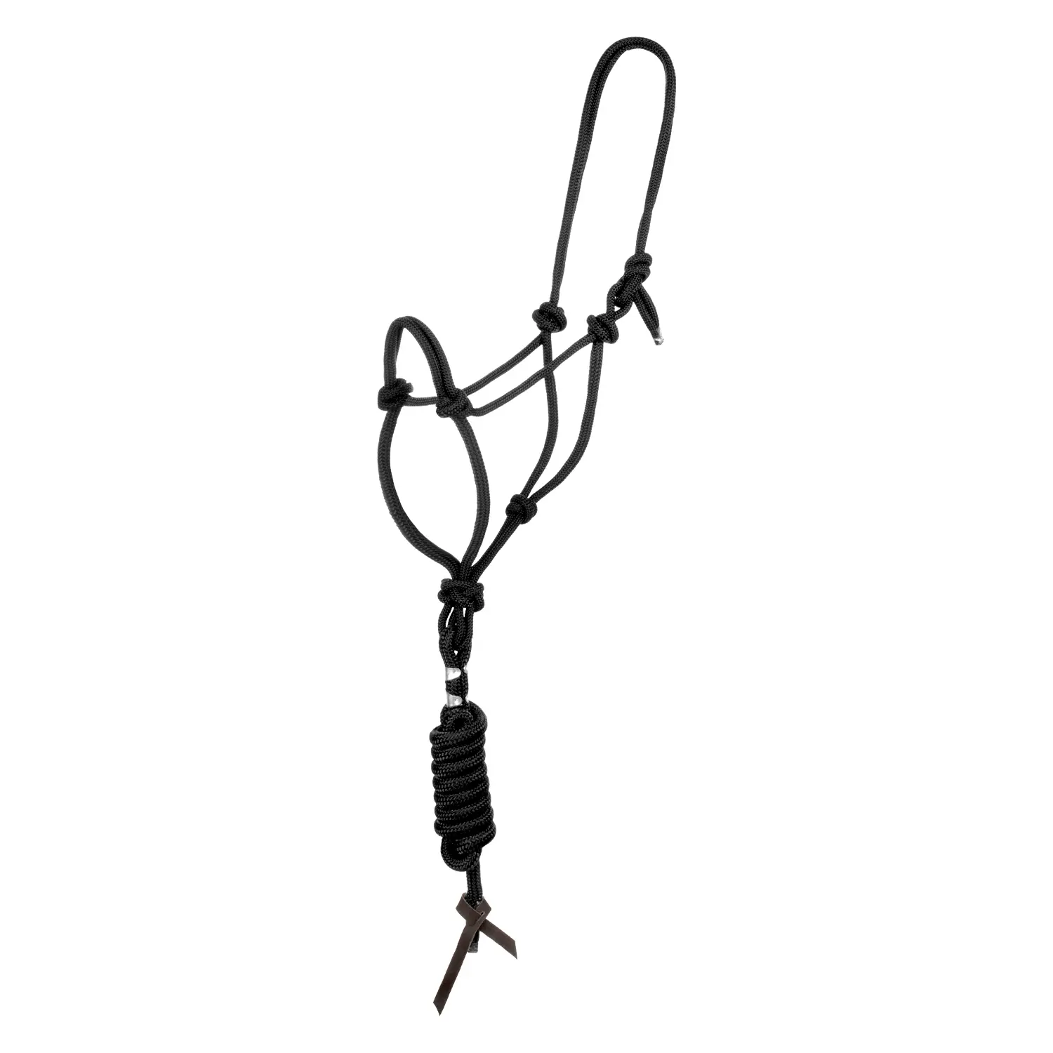 Bridle and lead rope set for horse with knot Pool's