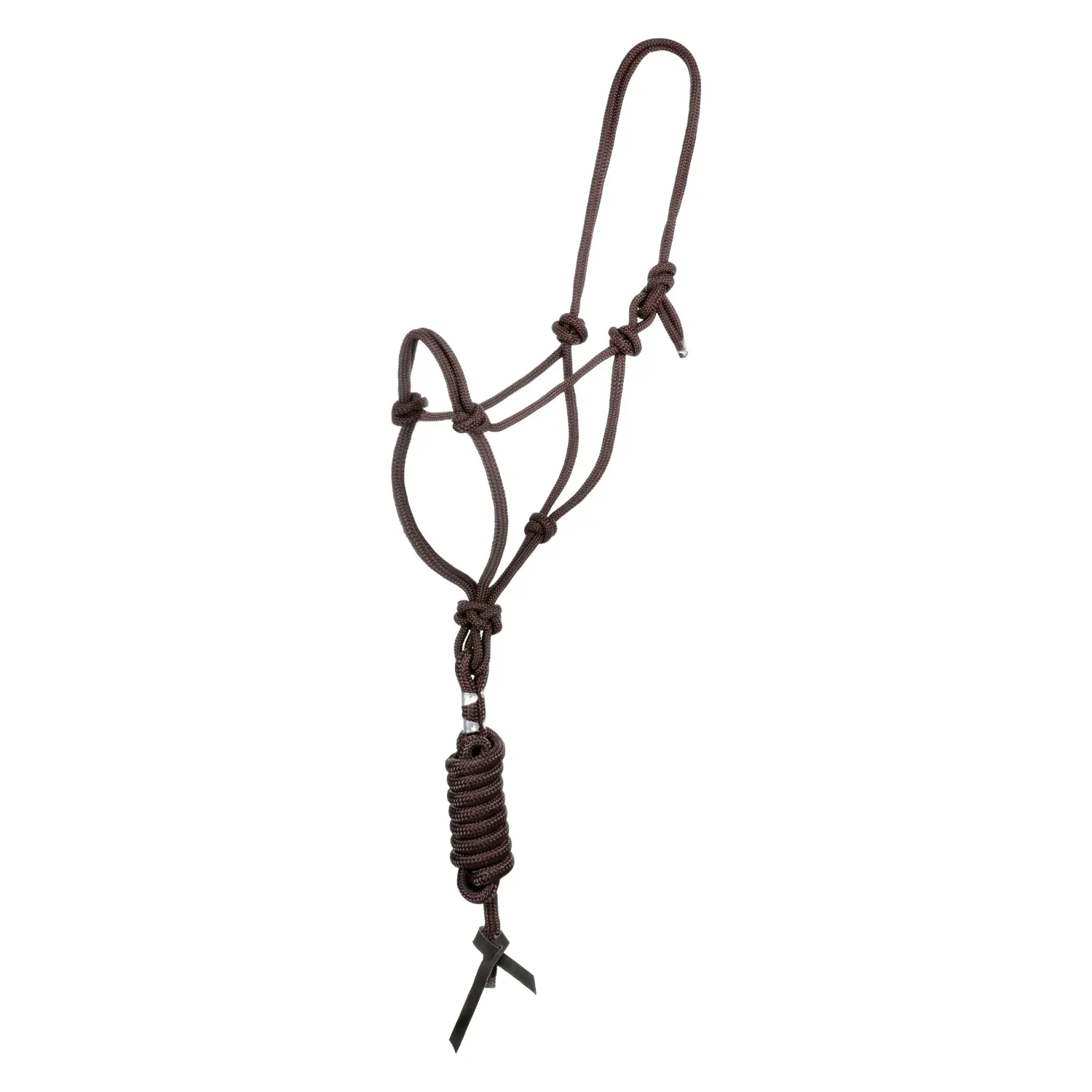 Bridle and lead rope set for horse with knot Pool's