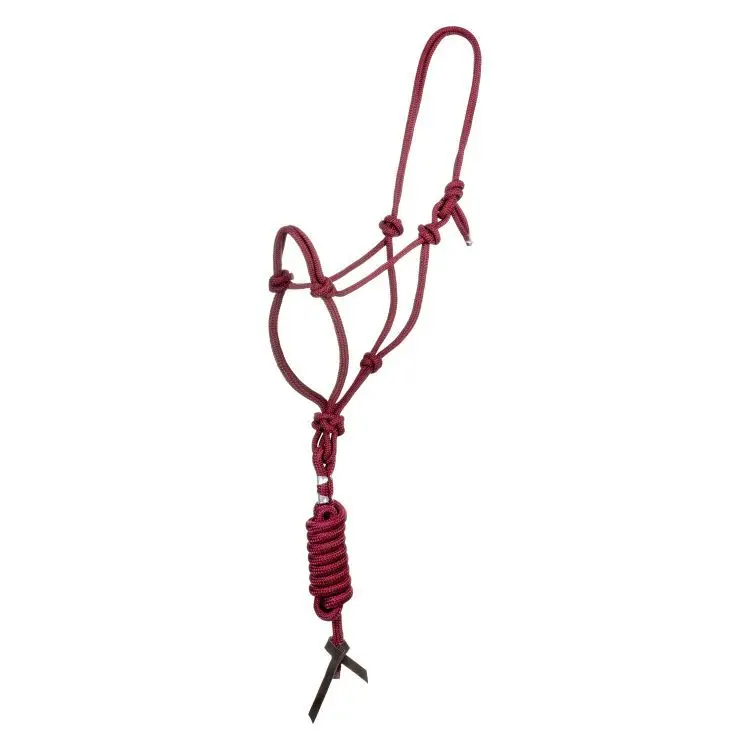 Bridle and lead rope set for horse with knot Pool's