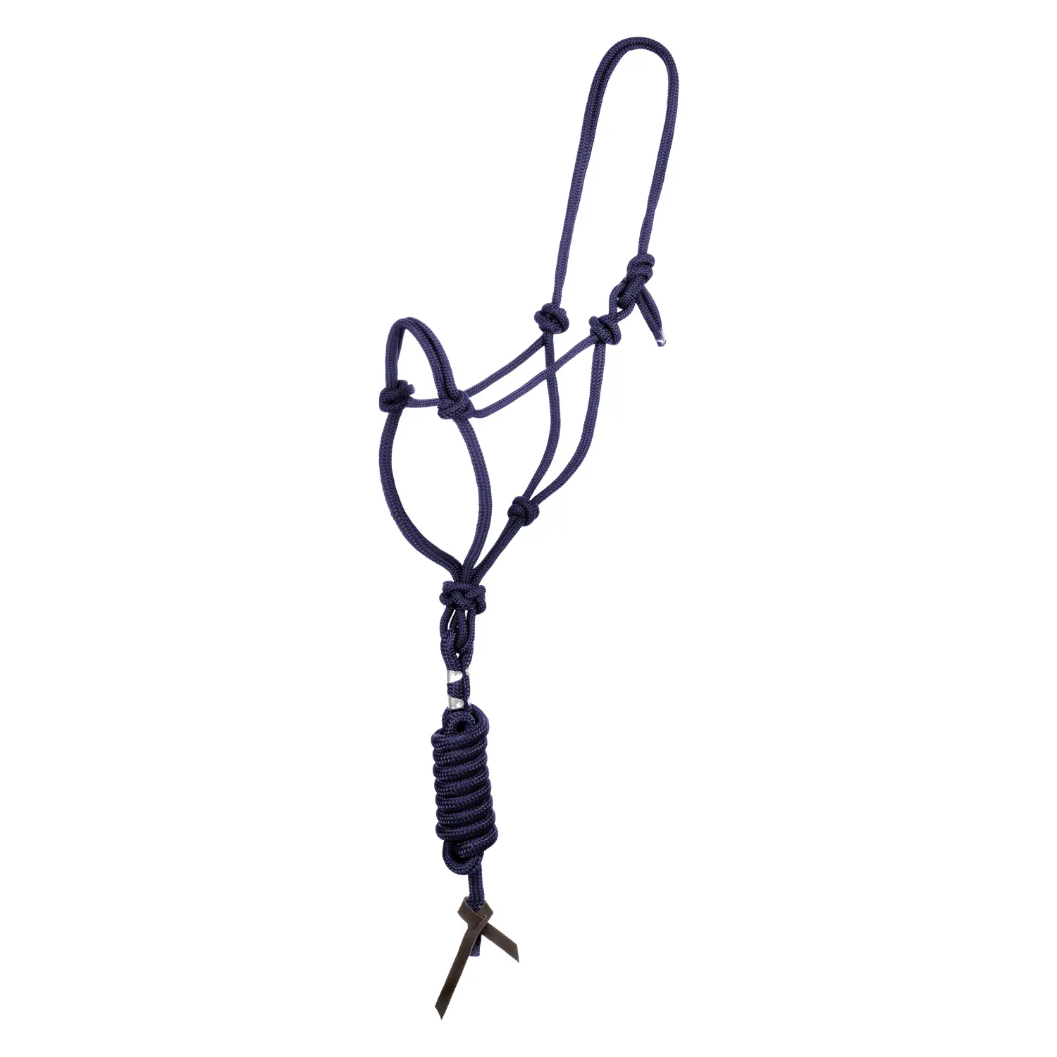Bridle and lead rope set for horse with knot Pool's