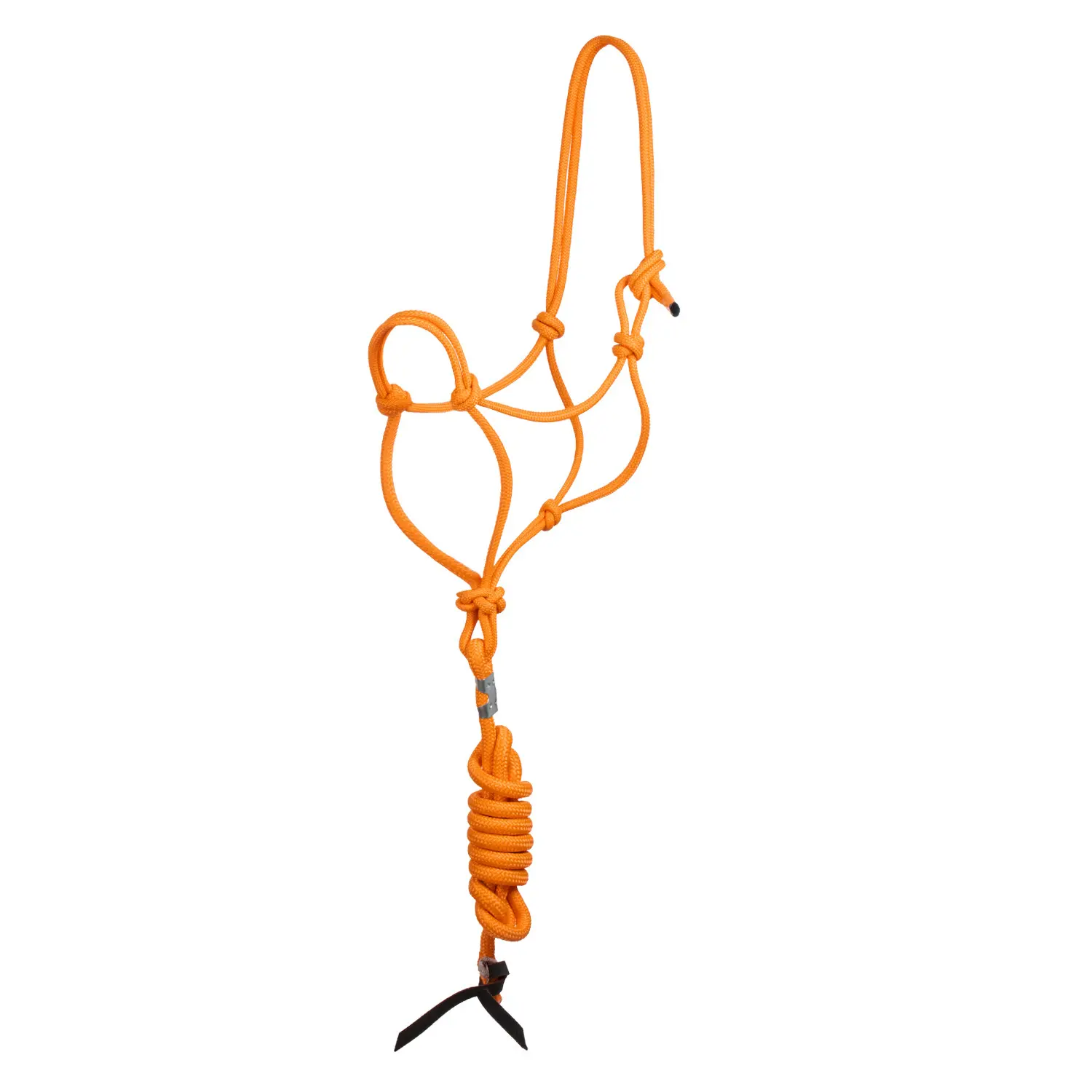 Bridle and lead rope set for horse with knot Pool's