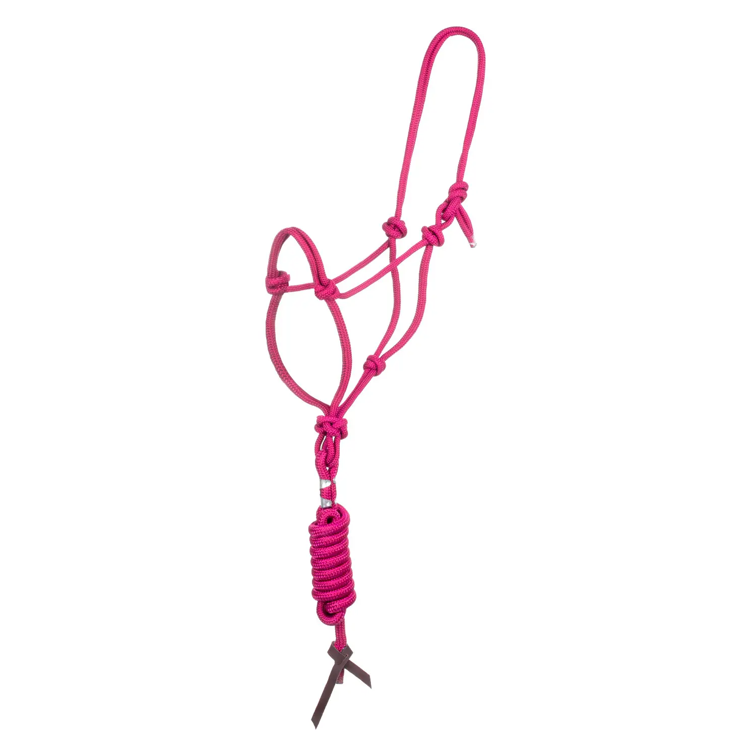 Bridle and lead rope set for horse with knot Pool's