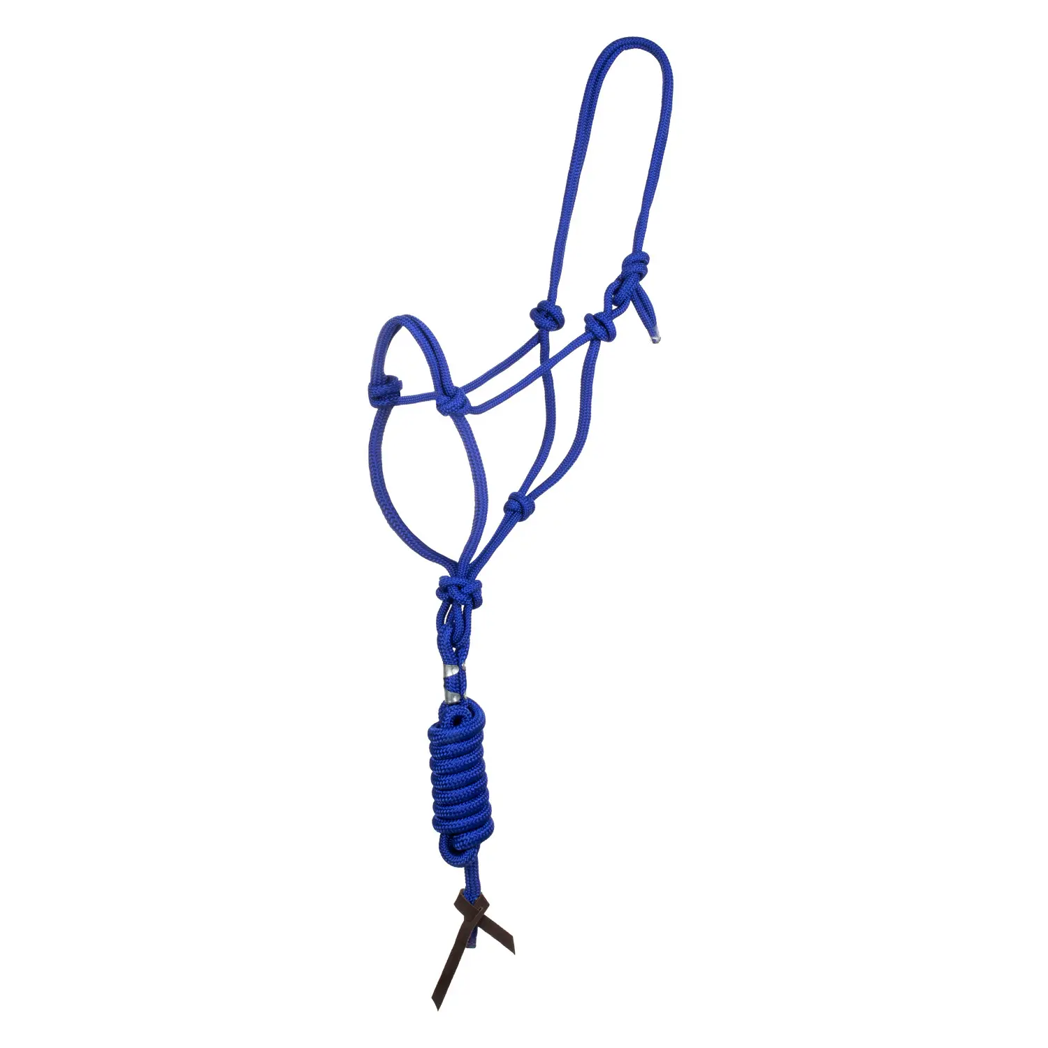 Nylon lead rope and halter for horse Pool's