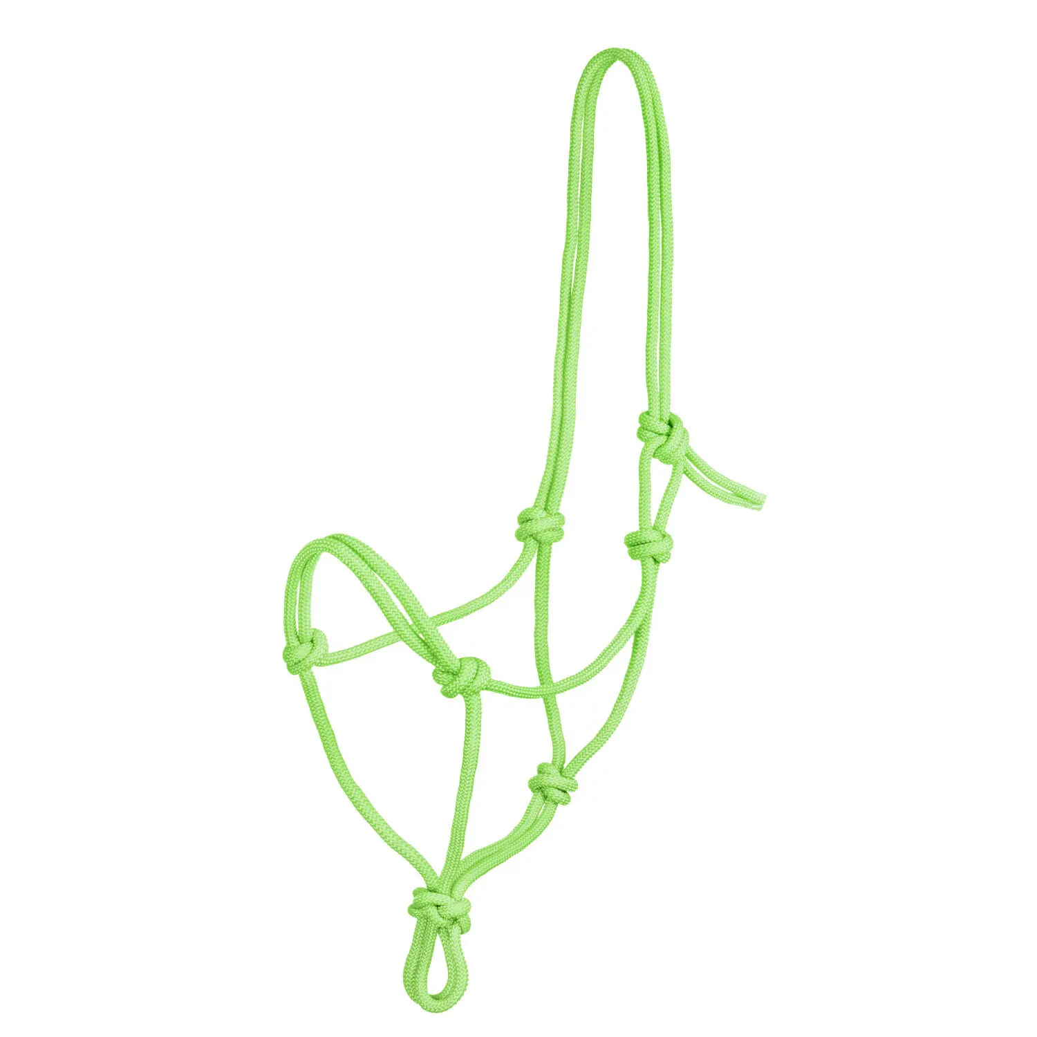 Knot halter for horse Pool's