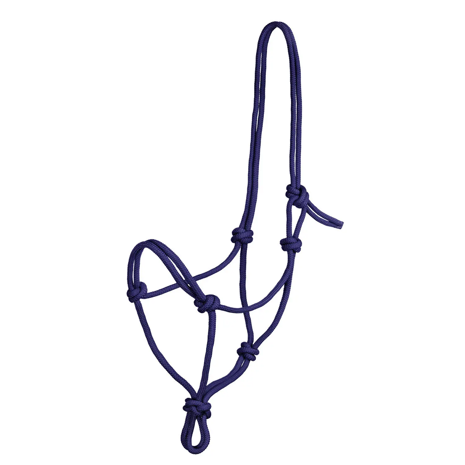 Knot halter for horse Pool's