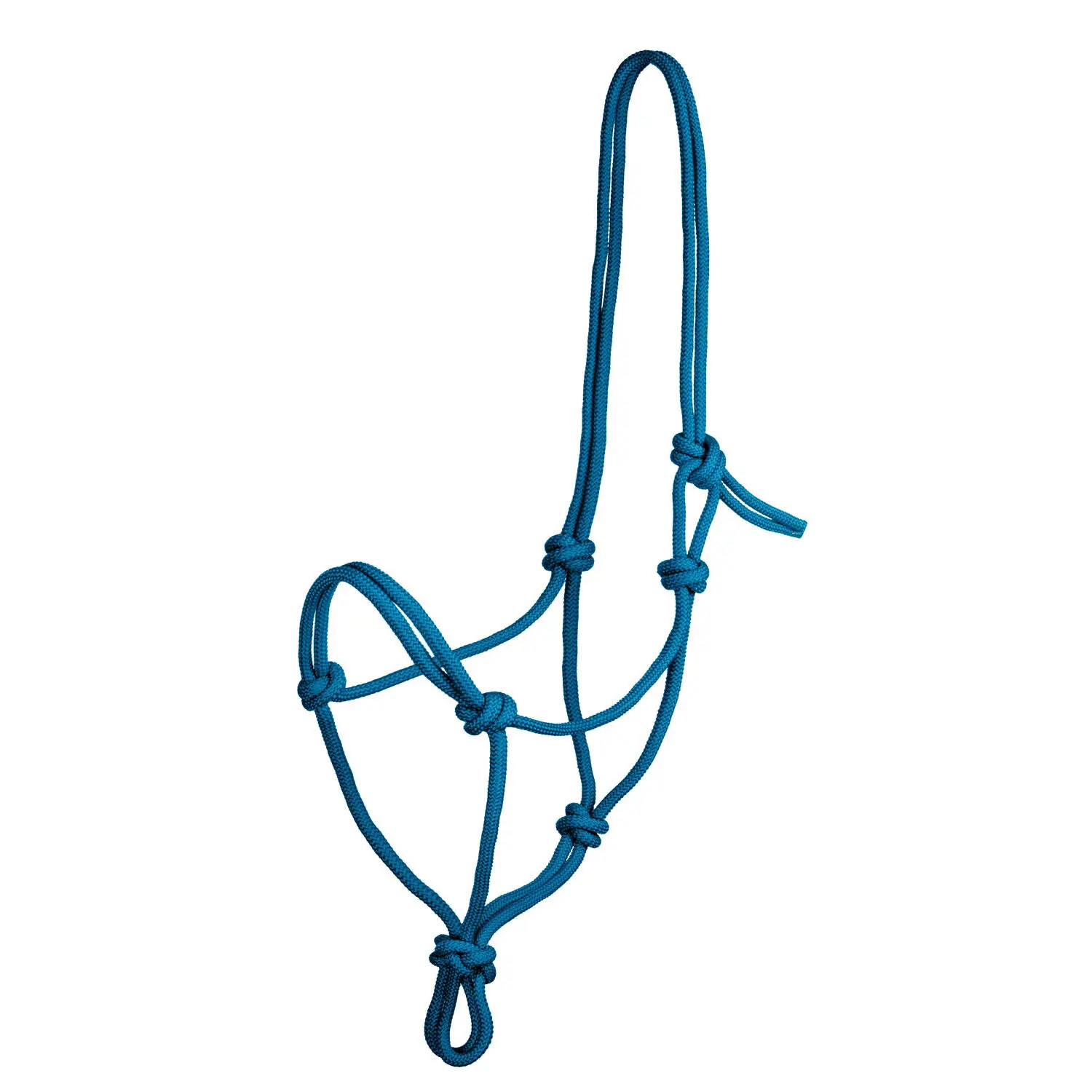 Knot halter for horse Pool's