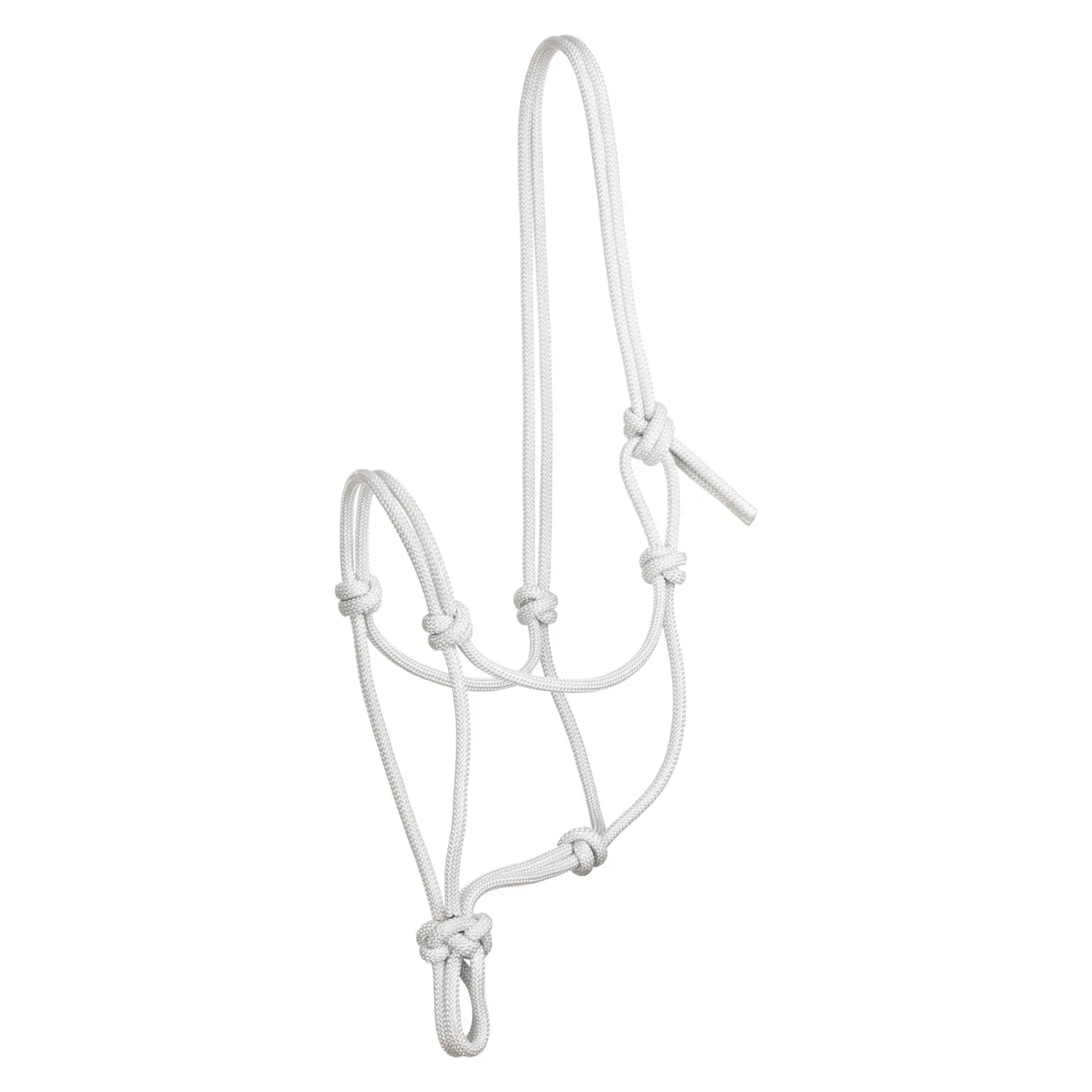 Knotted rope halter for horse Pool's