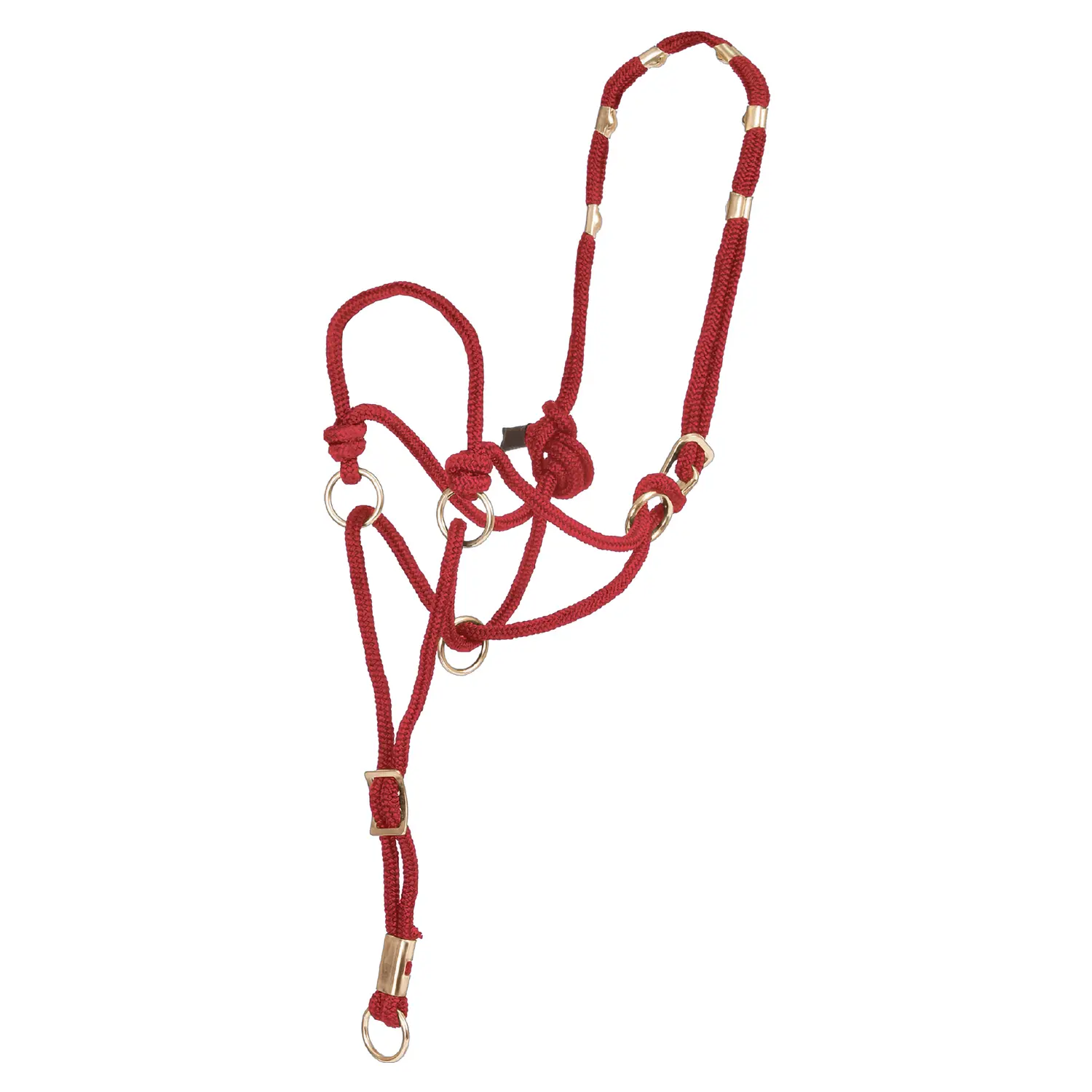 Halter for horse Pool's Direction 2020