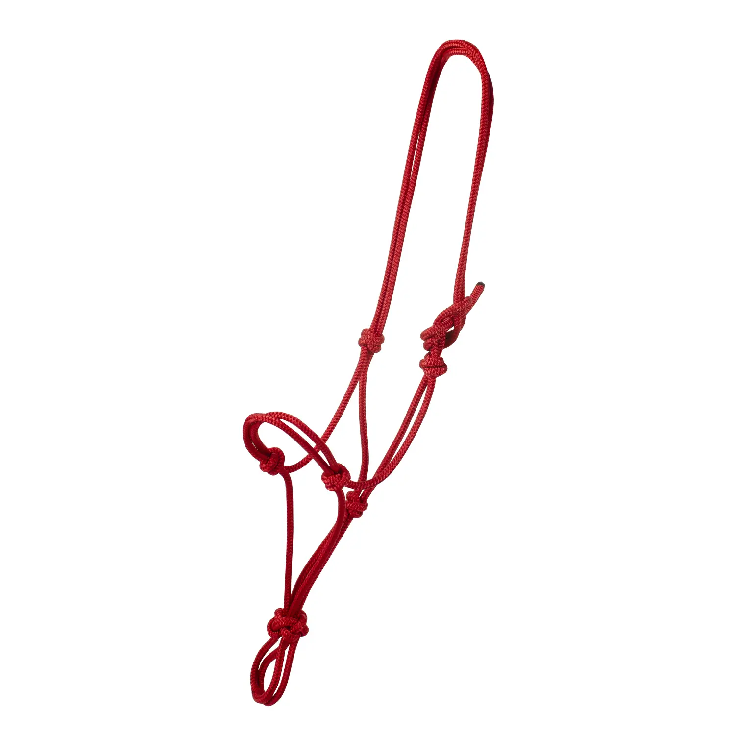 Rope halter for horse Pool's
