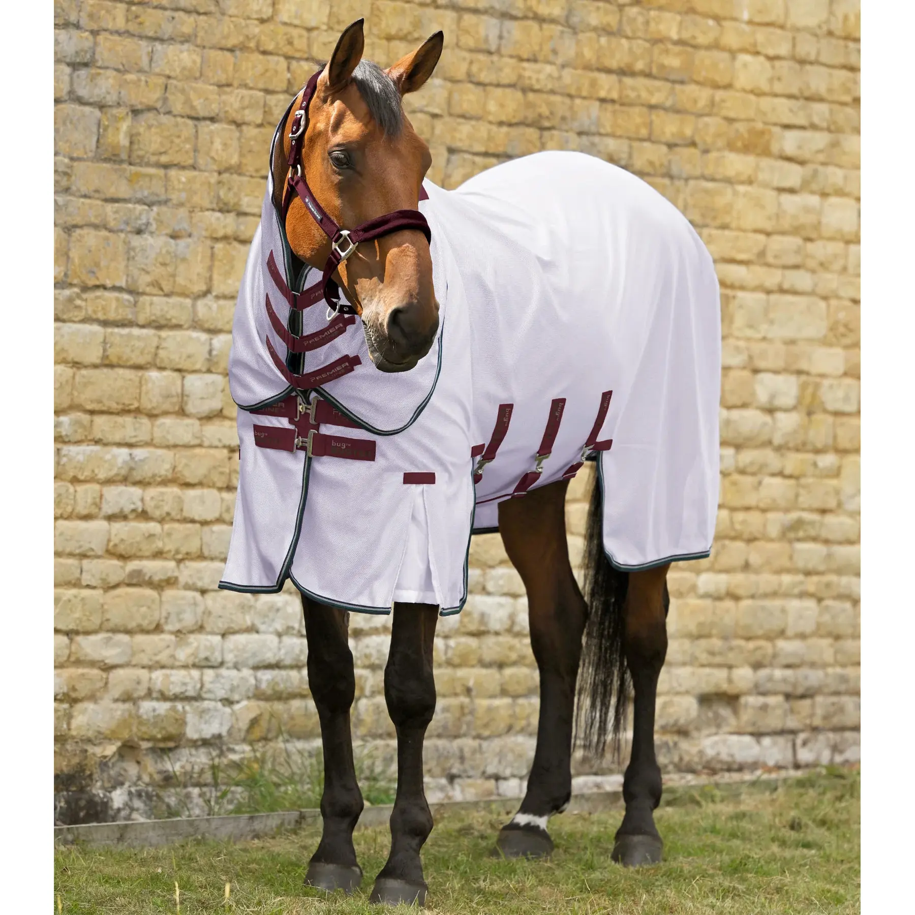 Coperta anti-mosche per cavalli Premier Equine Bug Buster