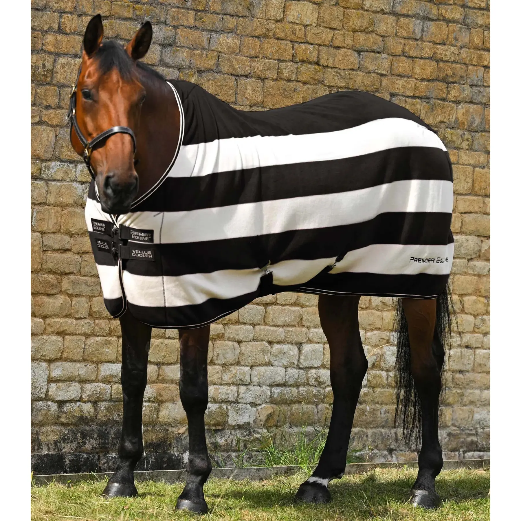 Coperta di asciugatura in pile per cavalli Premier Equine Vellus