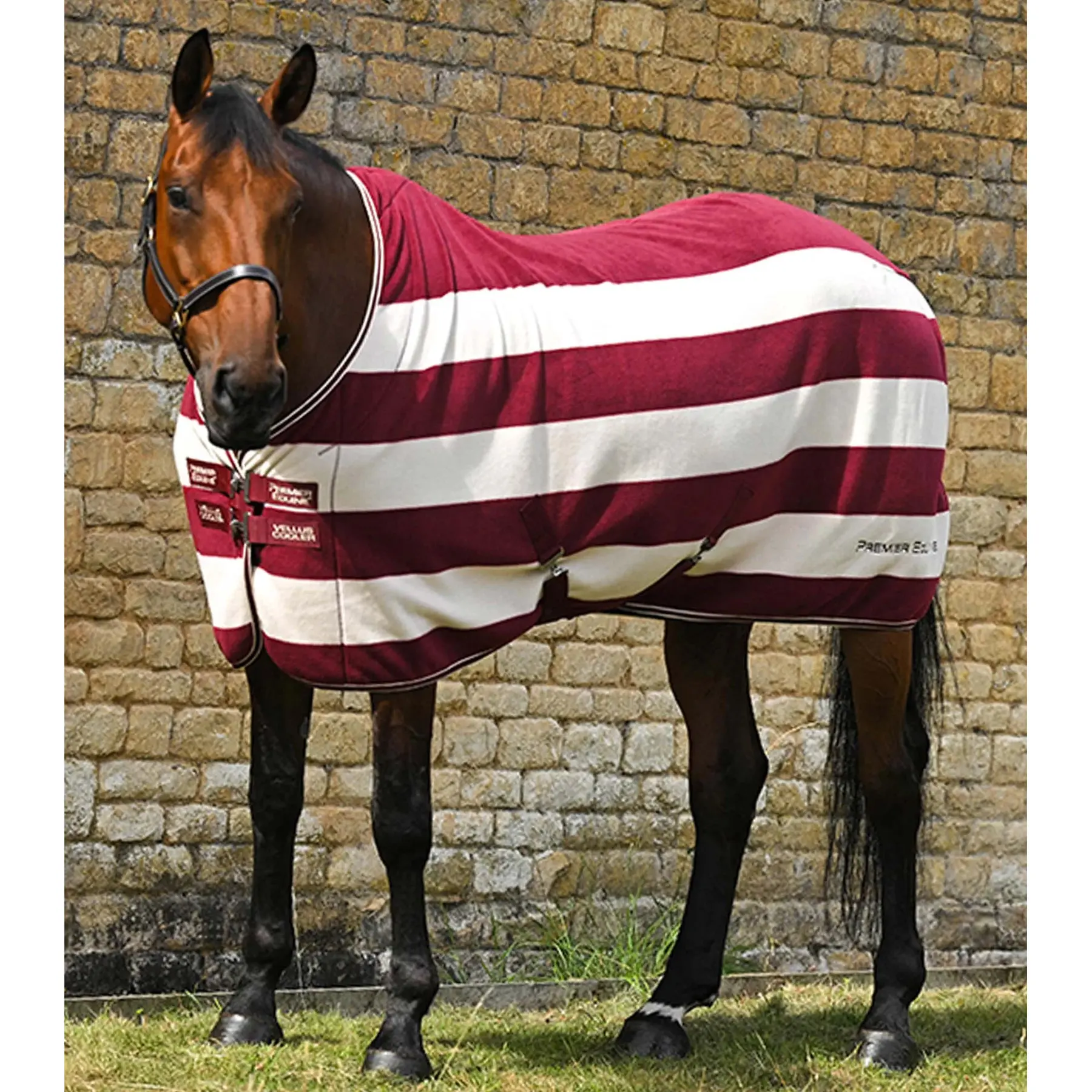 Trocknende Fleecedecke für Pferde Premier Equine Vellus