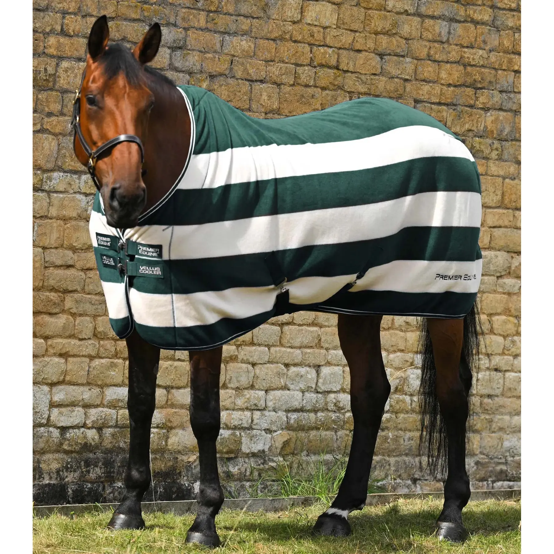 Trocknende Fleecedecke für Pferde Premier Equine Vellus