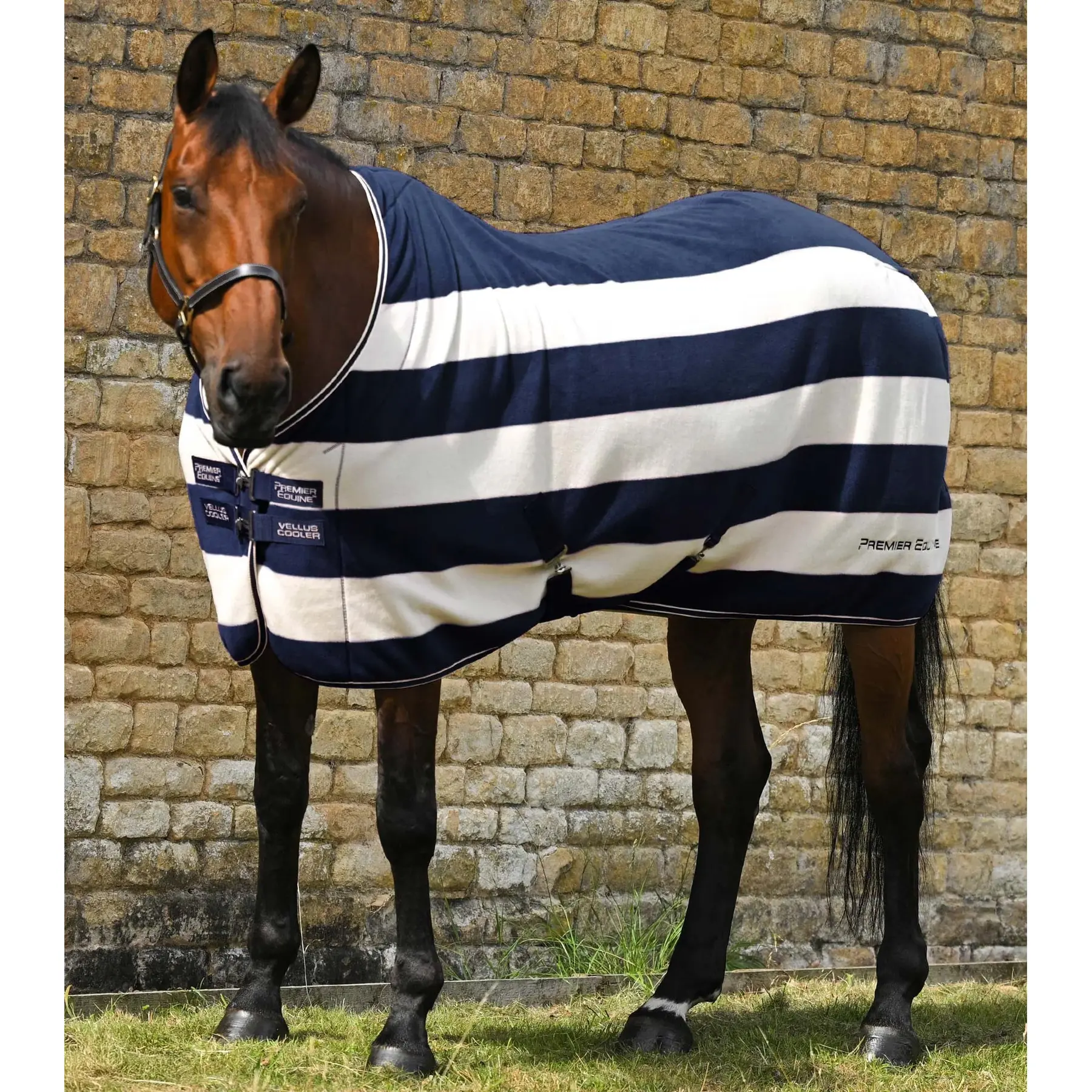 Trocknende Fleecedecke für Pferde Premier Equine Vellus