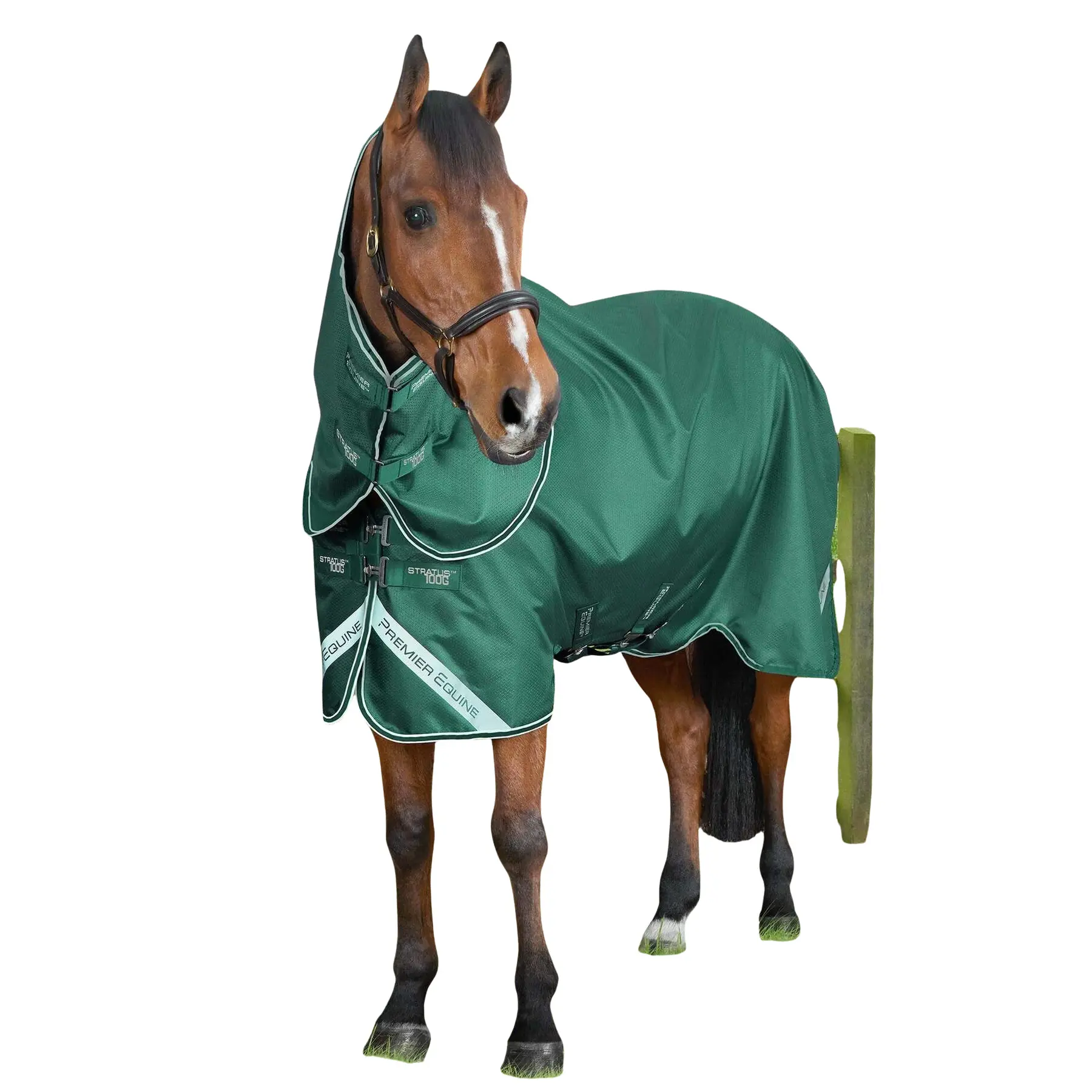 Derka zewnętrzna dla koni z osłoną szyi Premier Equine Stratus 600D Series 100g