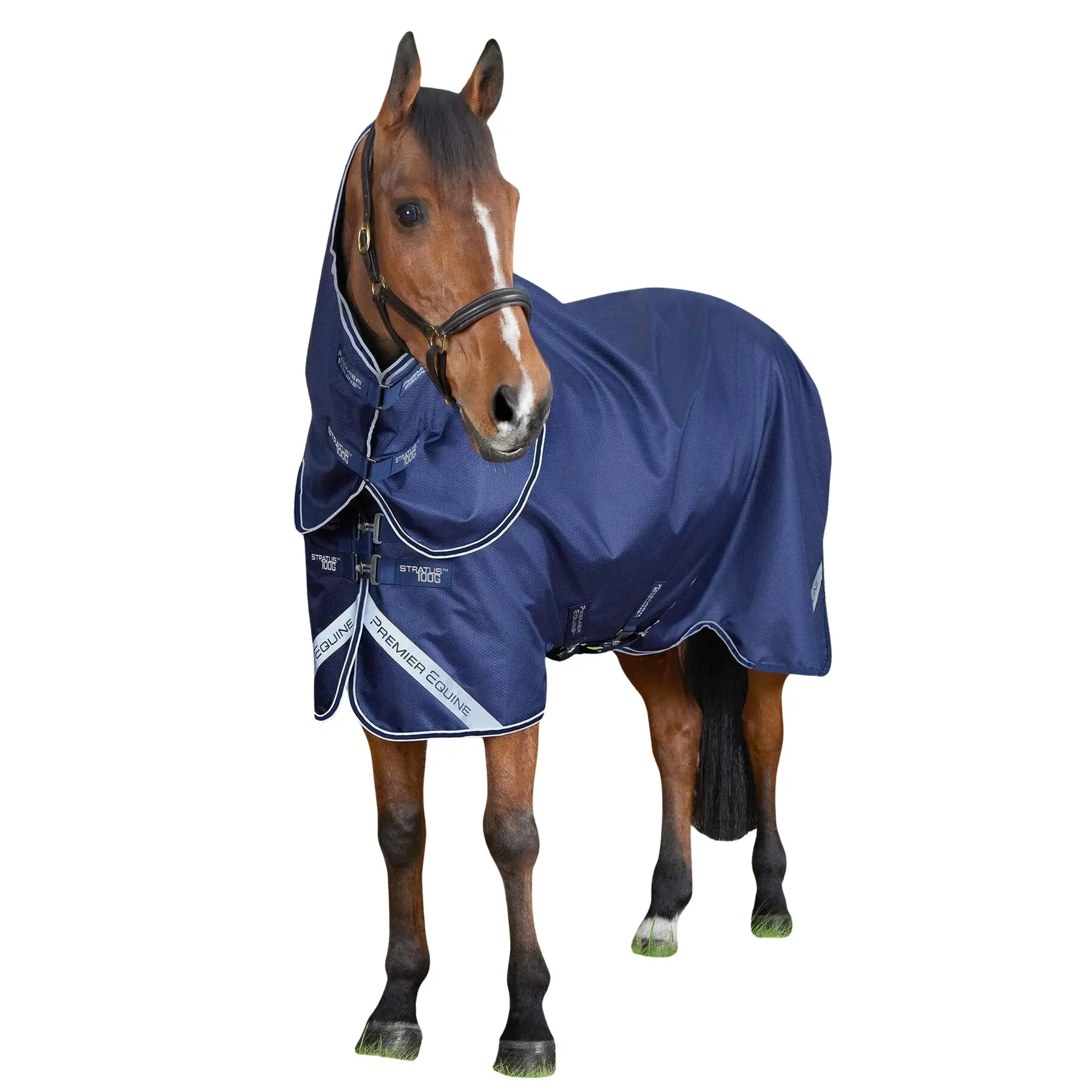 Outdoor-Decke für Pferde mit Halsabdeckung Premier Equine Stratus 600D Series 100g