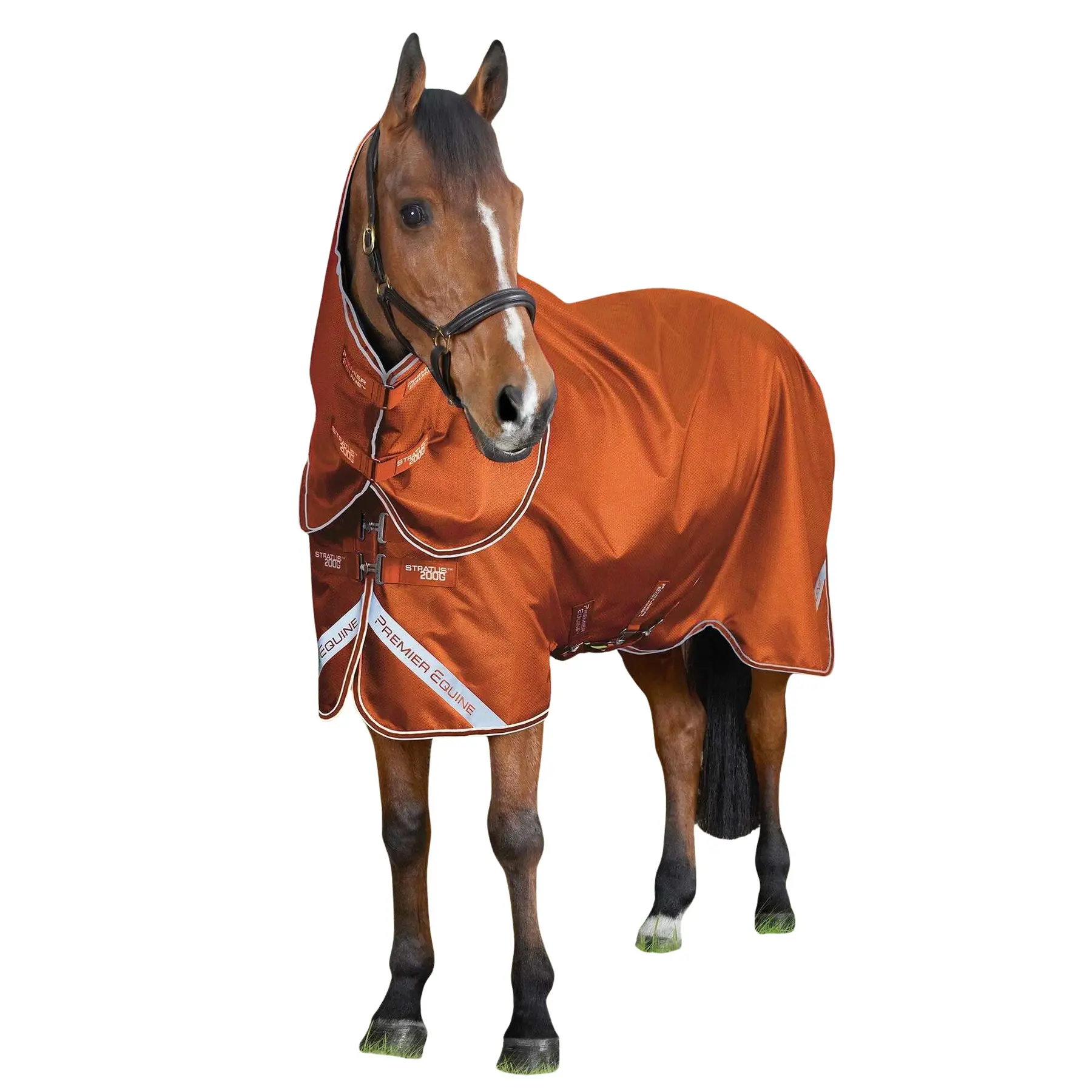 Coperta da paddock per cavalli con copricollo Premier Equine Stratus 600D Series 200g