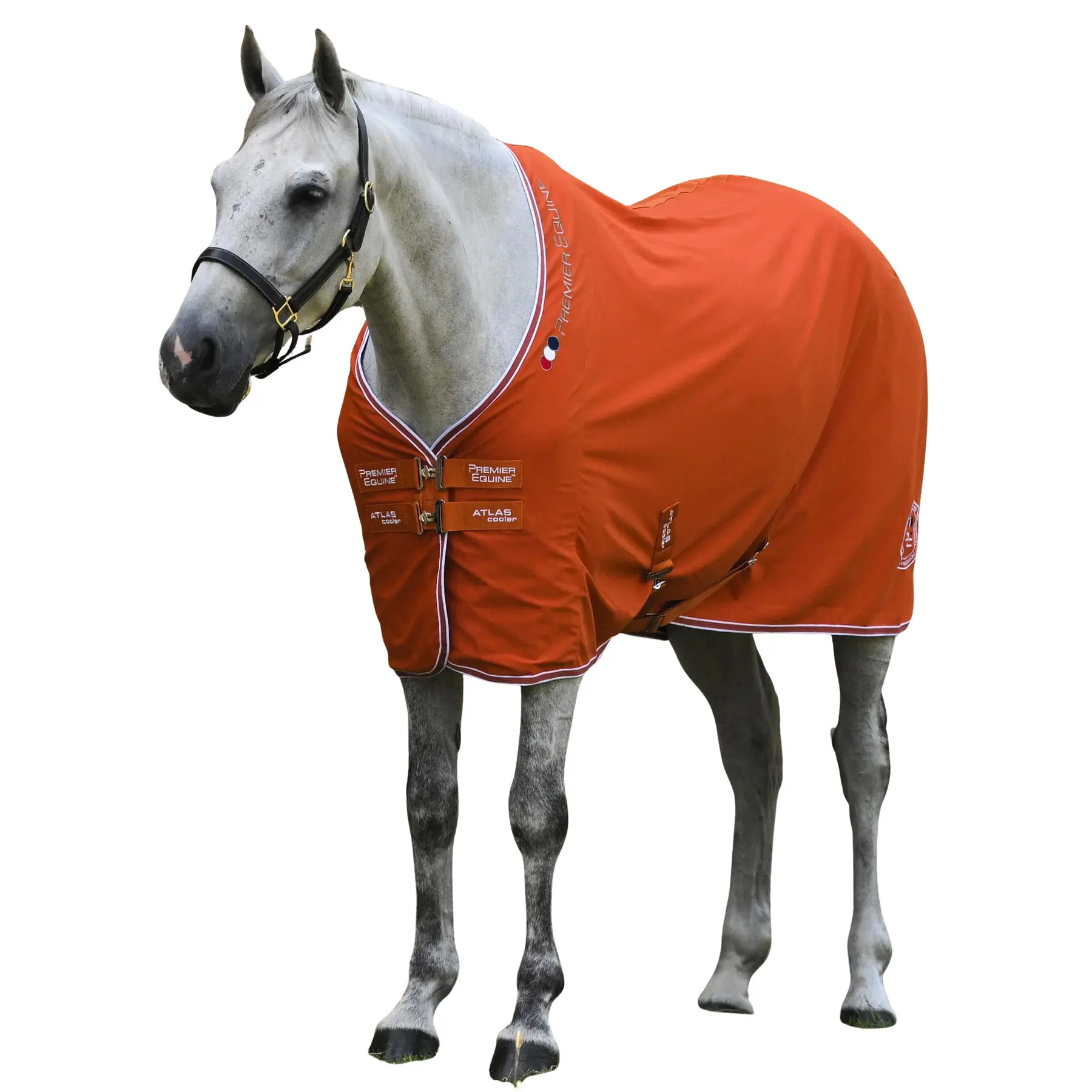 Trocknende Decke für Pferde Premier Equine Atlas Cooler