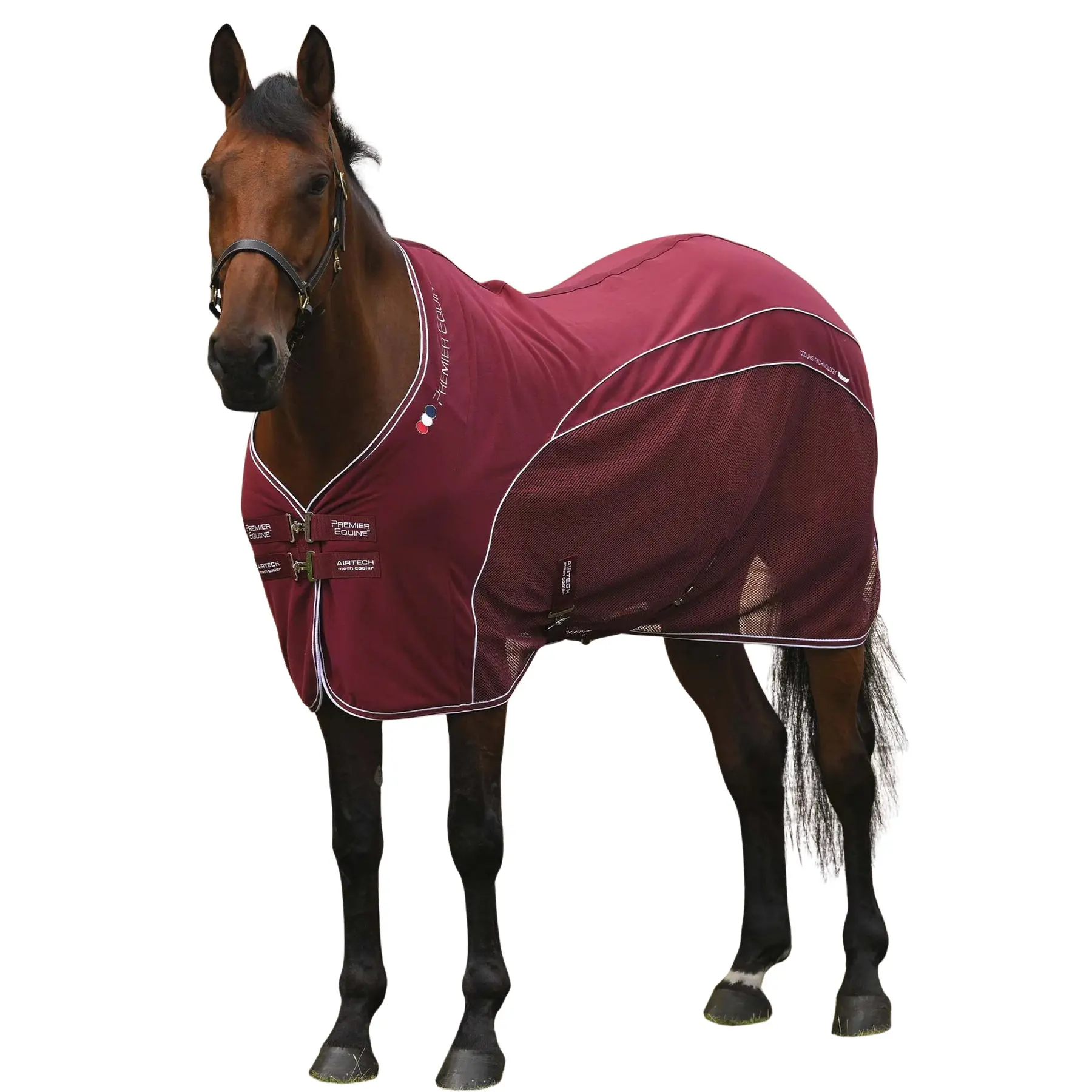 Trocknende Decke für Pferde Premier Equine Airtech Mesh