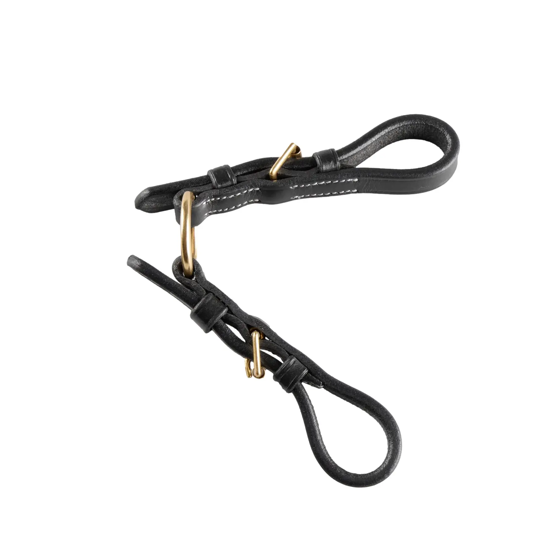 Allianz für Gebisse Premier Equine Bit Converter