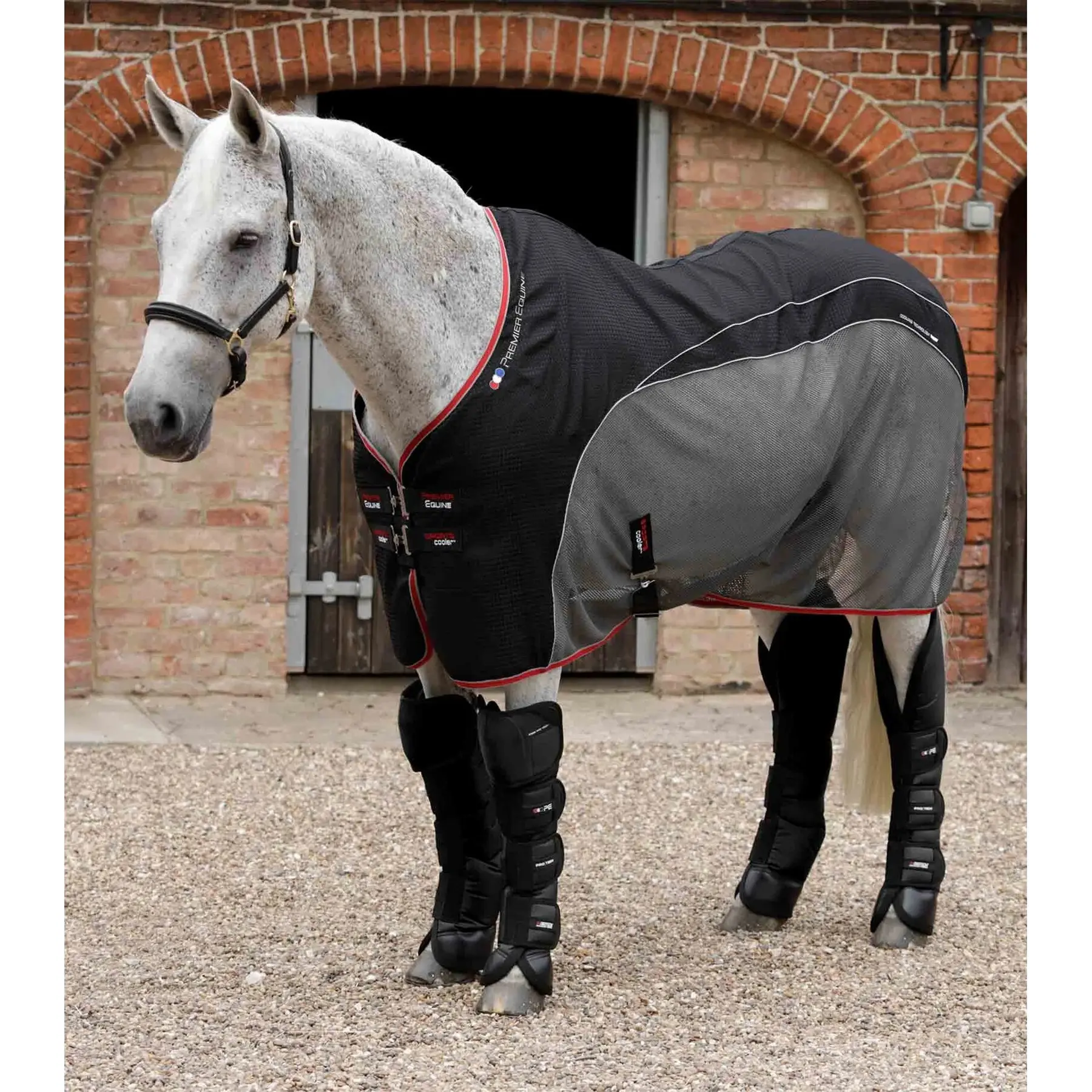Transport gaiters for horses Premier Equine Ballistic Pro-Tech