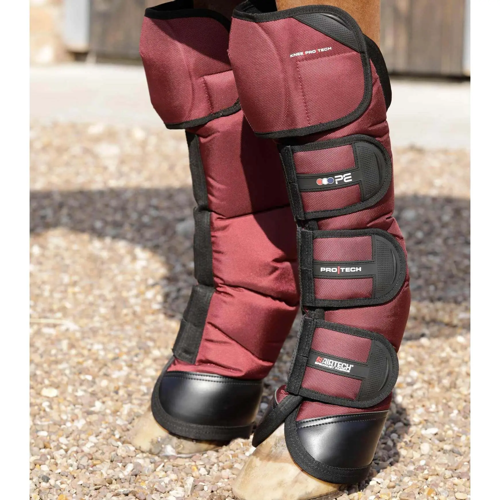 Transport gaiters for horses Premier Equine Ballistic Pro-Tech