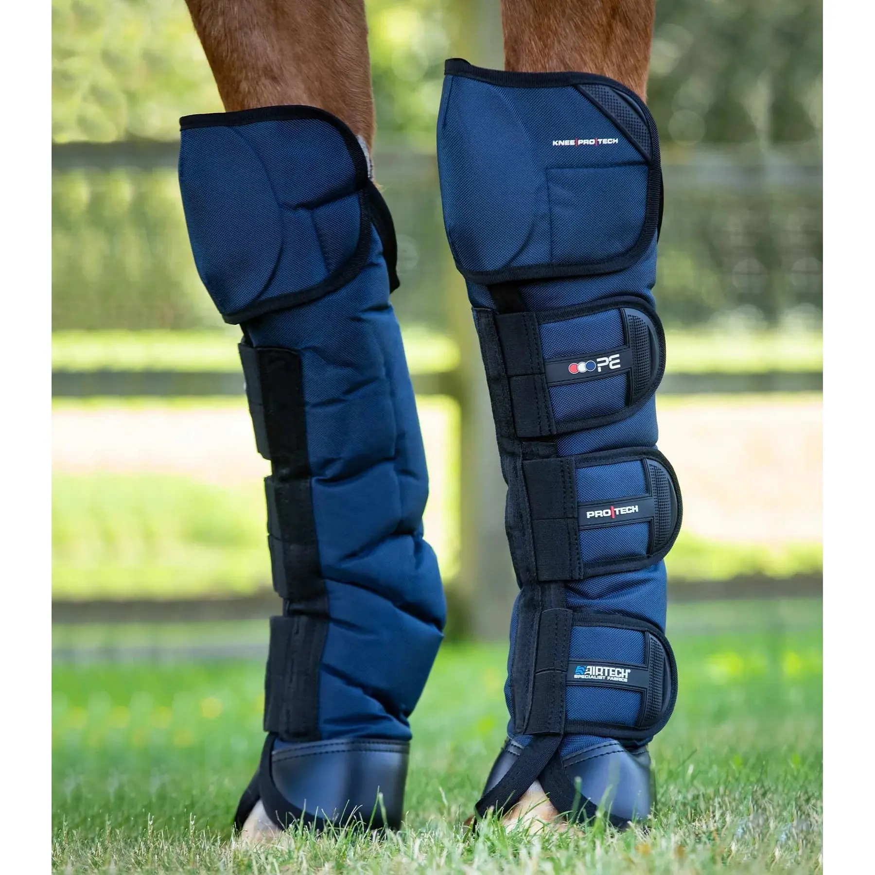 Transport gaiters for horses Premier Equine Ballistic Pro-Tech