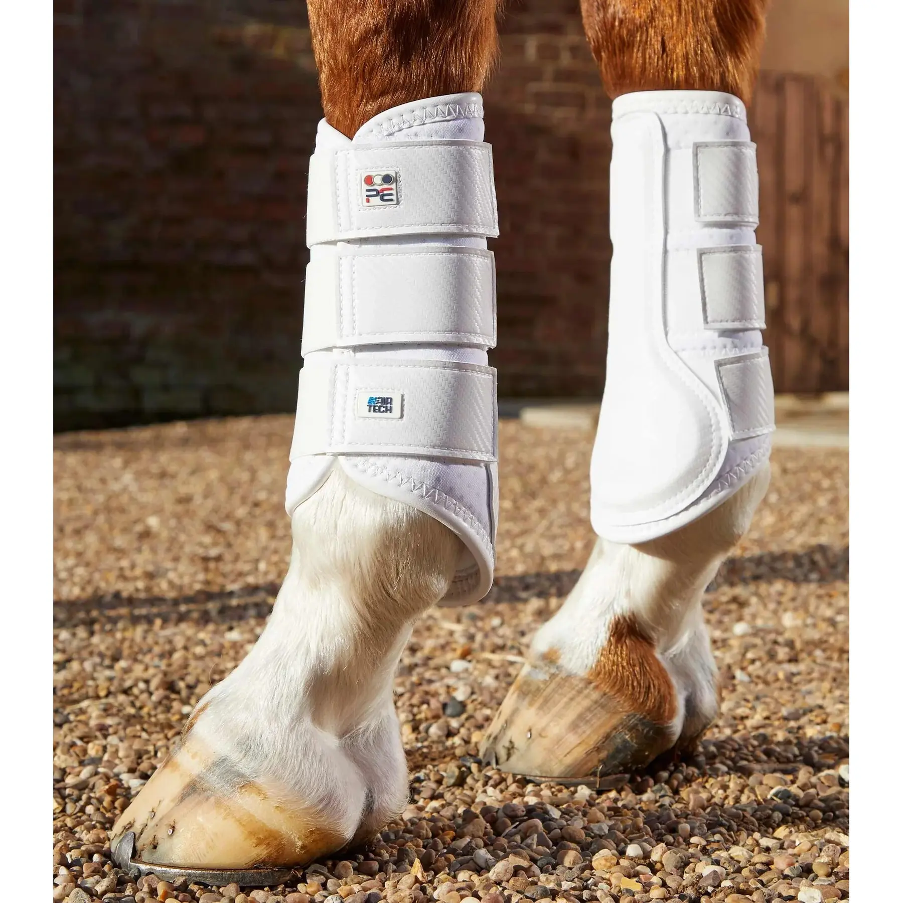 Stinchiere per cavalli a chiusura singola Premier Equine Air-Tech
