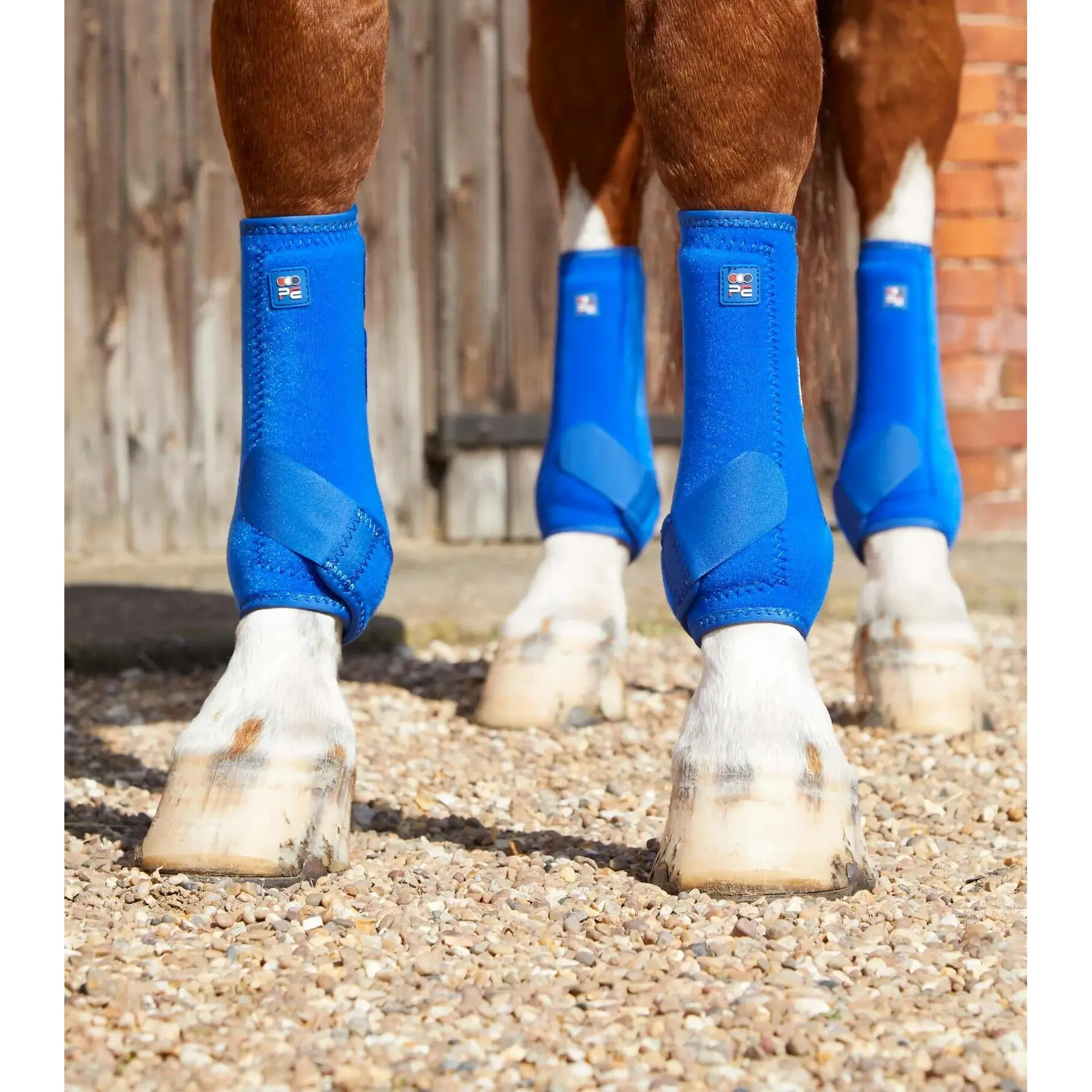 Stinchiere per cavallo Premier Equine Air-Tech Sports Medecine