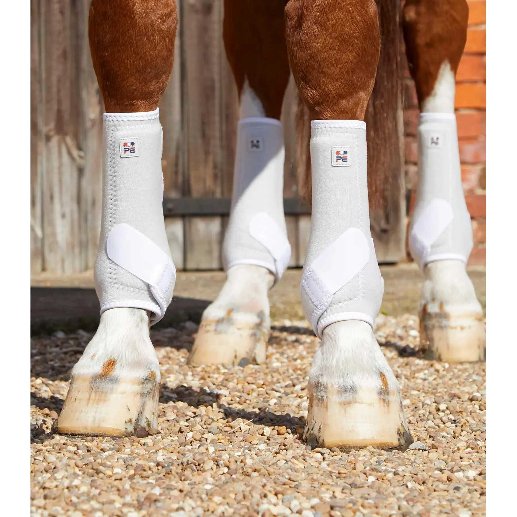 Stinchiere per cavallo Premier Equine Air-Tech Sports Medecine