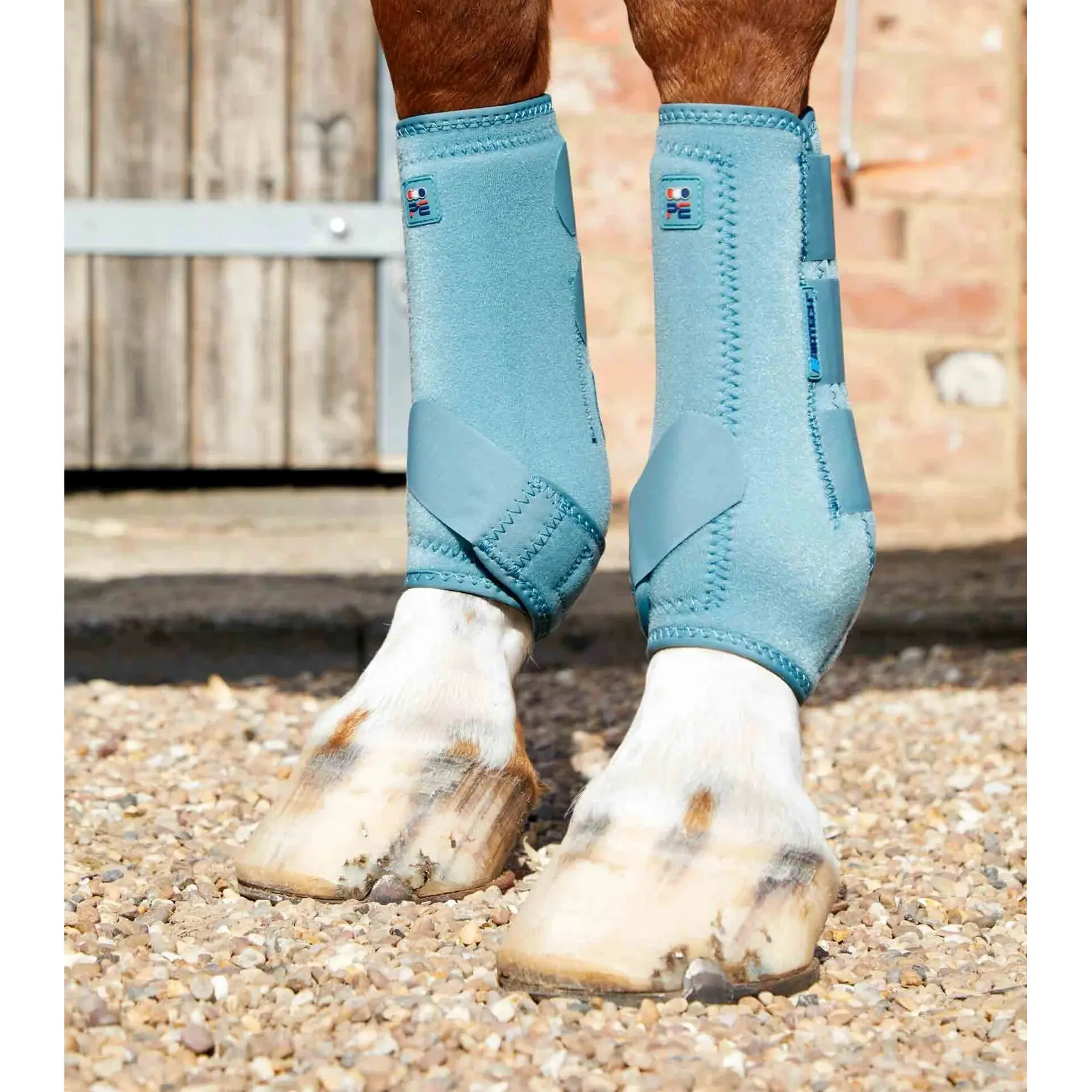 Stinchiere per cavalli Premier Equine Air-Tech Sports Medecine