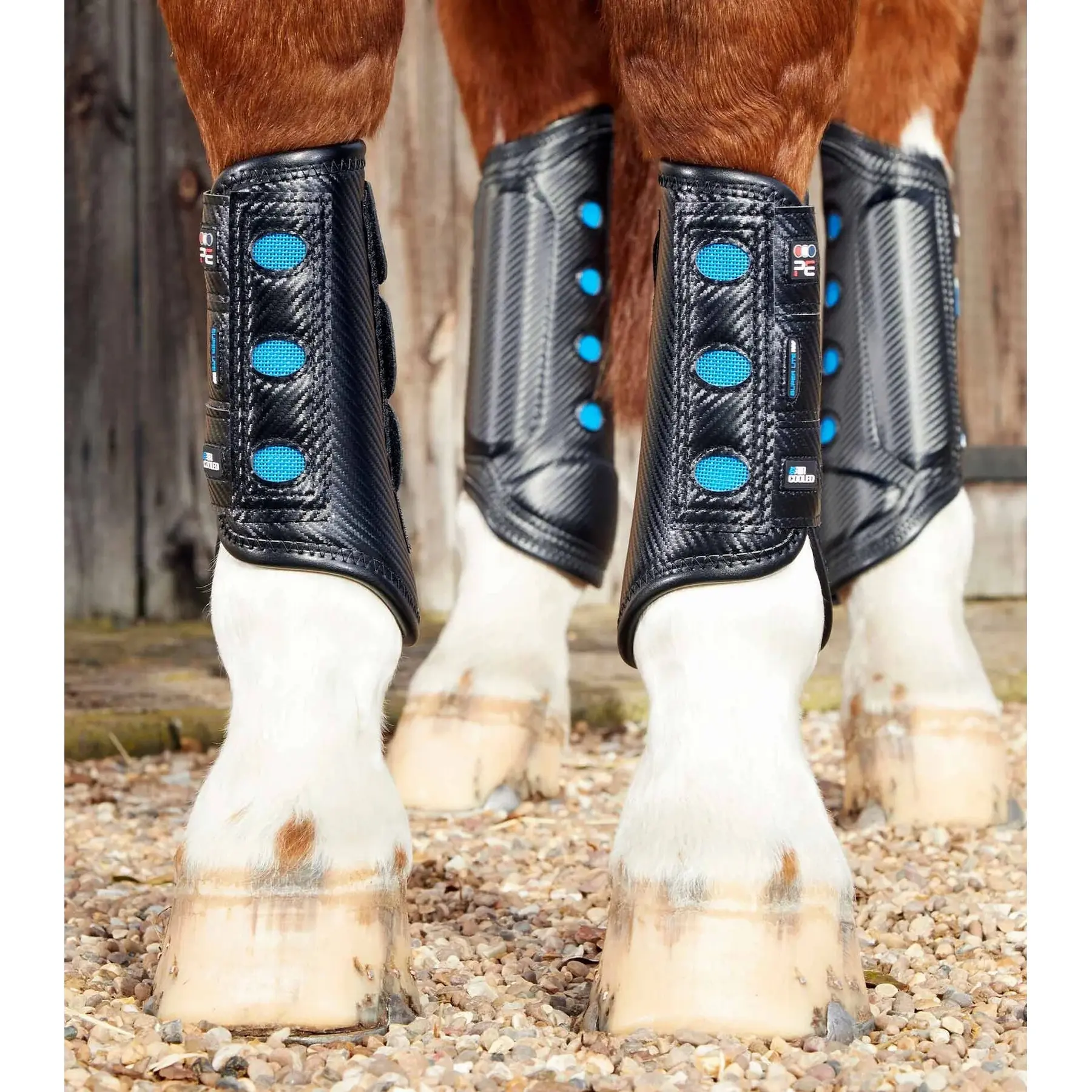 Front gaiters for horses Premier Equine Super Lite Carbon Tech