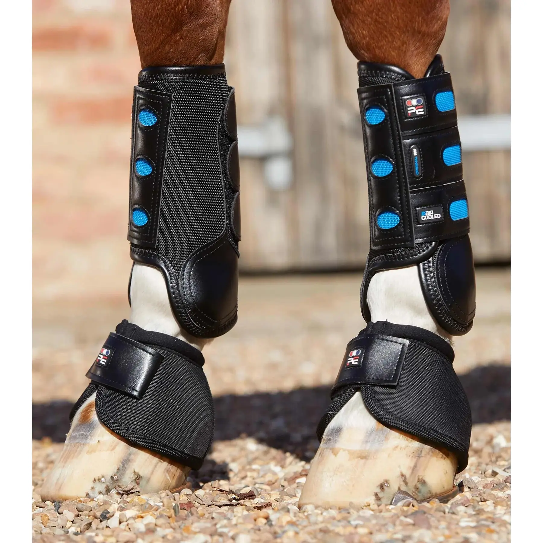 Stinchiere anteriori per cavalli Premier Equine Air Cooled Original Eventing
