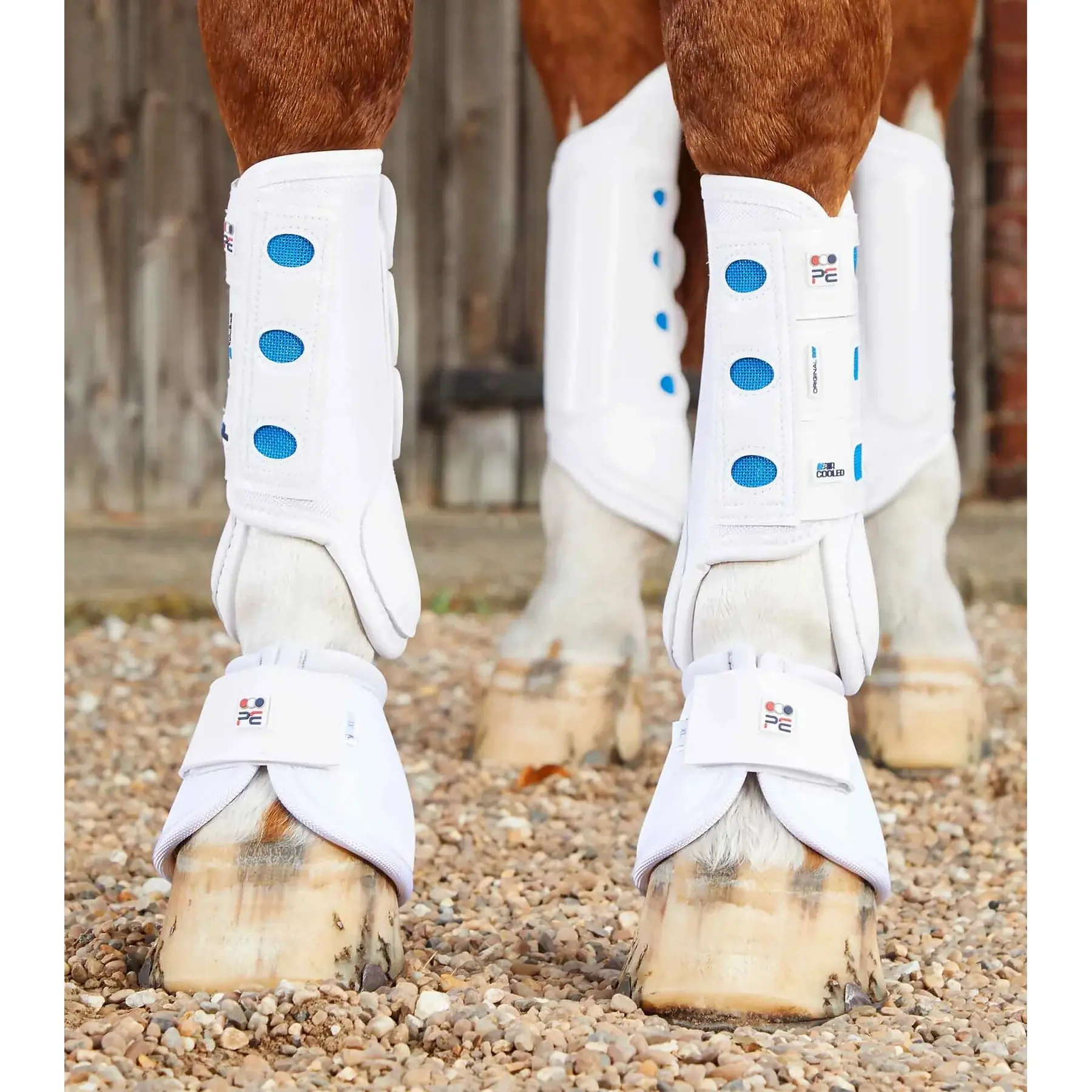Stinchiere anteriori per cavalli Premier Equine Air Cooled Original Eventing