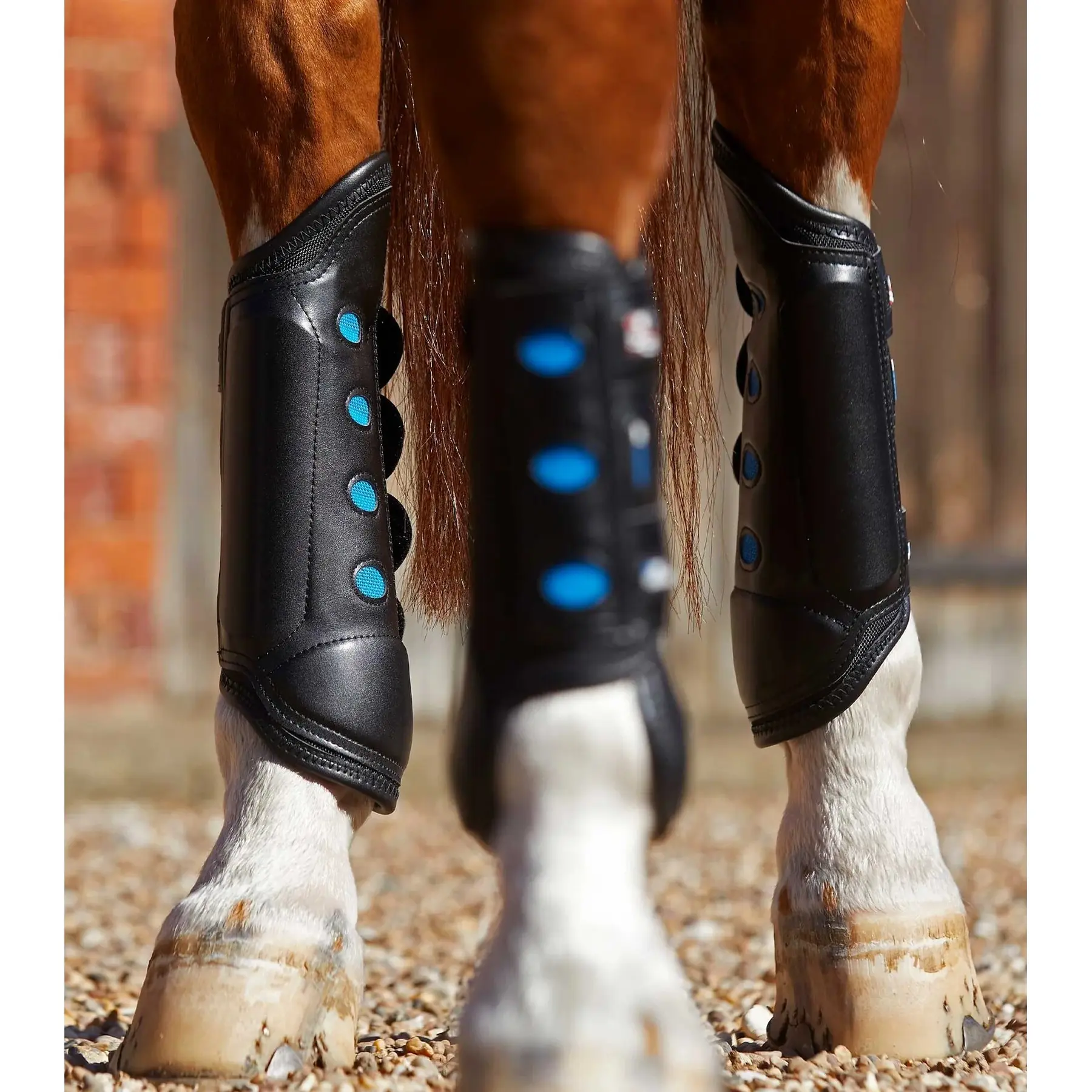 Stinchiere posteriori per cavalli Premier Equine Air Cooled Original Eventing