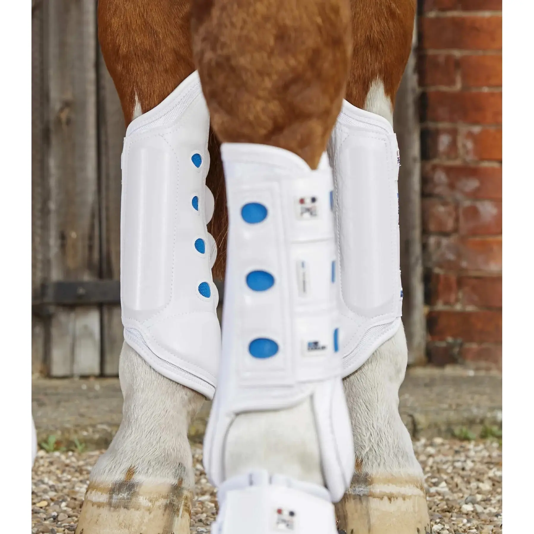 Stinchiere posteriori per cavalli Premier Equine Air Cooled Original Eventing