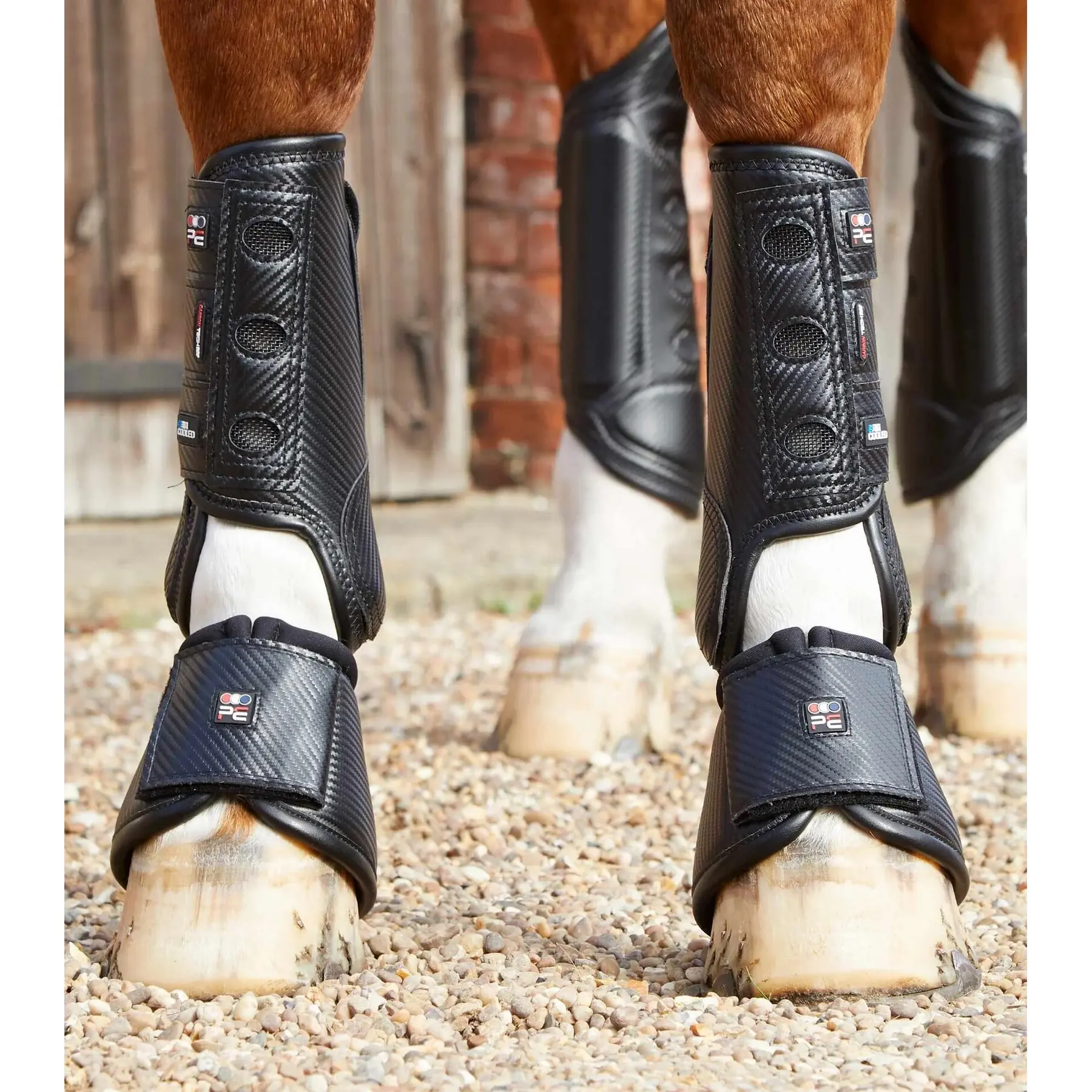 Stinchiere anteriori per cavalli Premier Equine Carbon Tech Air Cooled