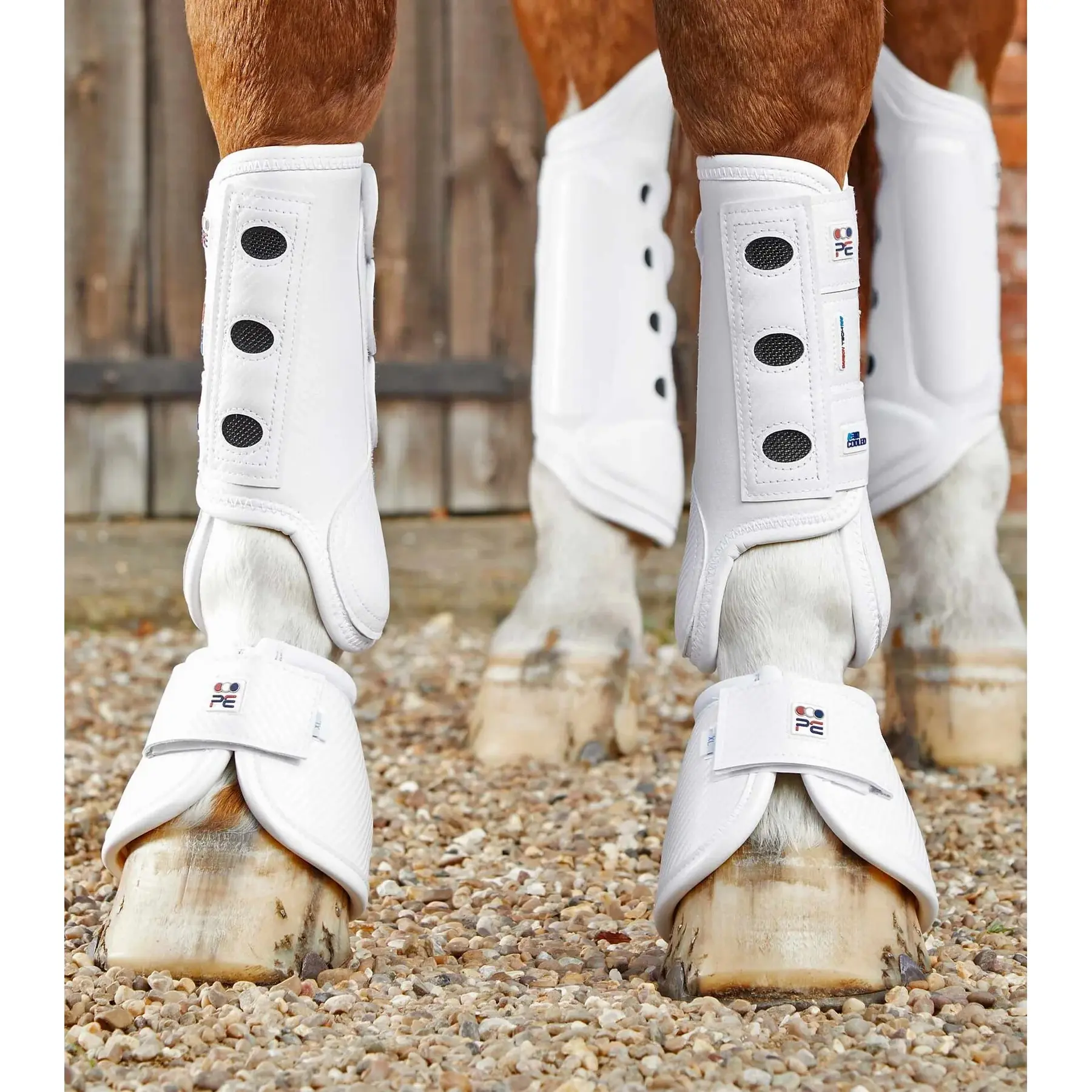 Stinchiere anteriori per cavalli Premier Equine Carbon Tech Air Cooled