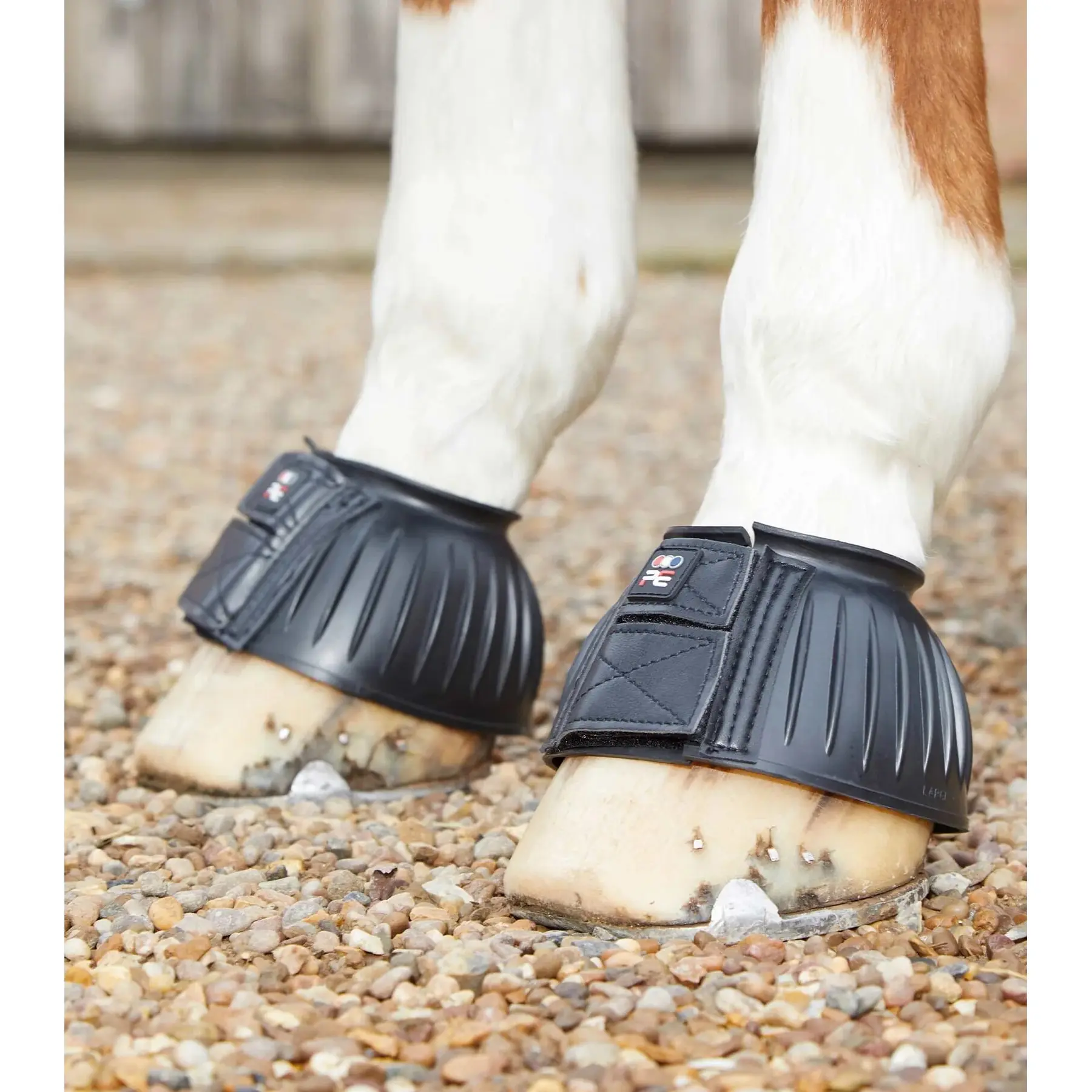 Glove guard for horses Premier Equine