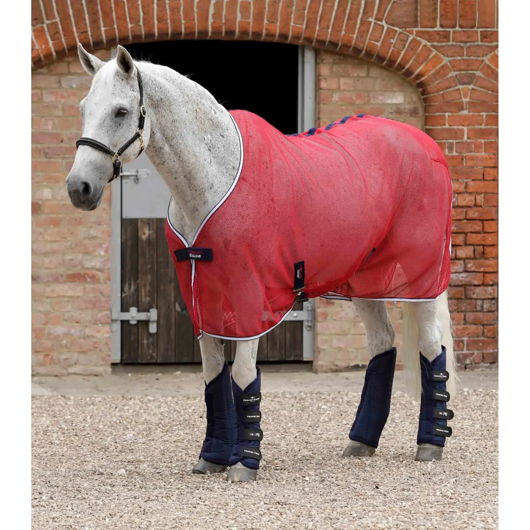 Transport gaiters for horses Premier Equine Travel-Tech