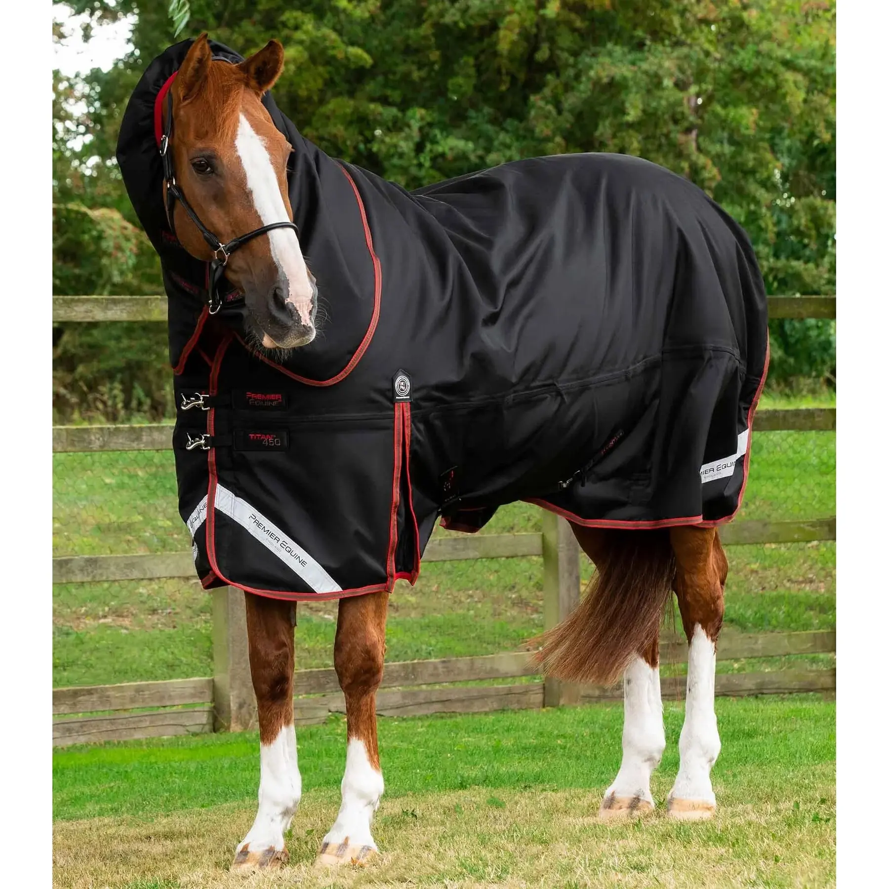 Outdoor horse blanket with neck cover Premier Equine Titan 450 g