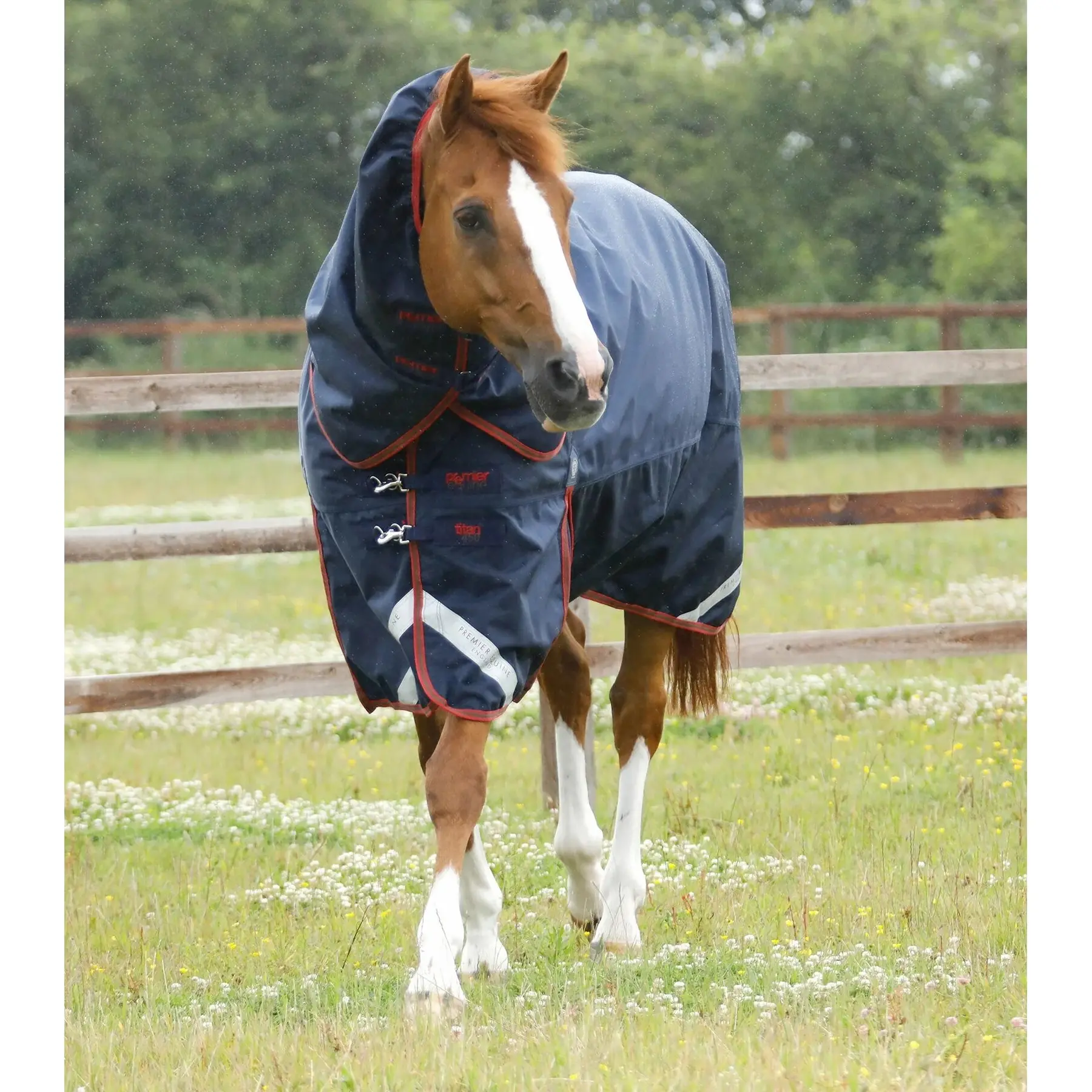 Outdoor horse blanket with neck cover Premier Equine Titan 450 g